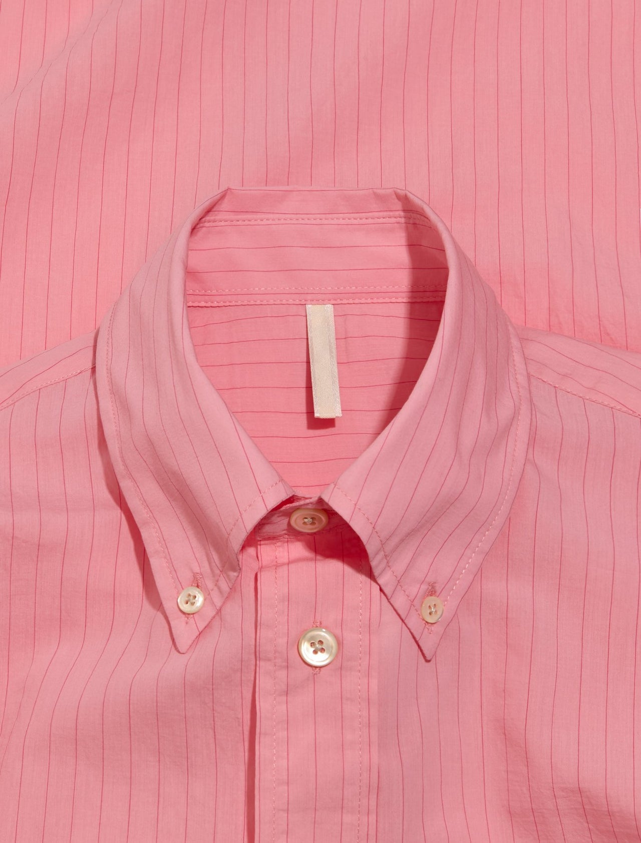 Button Down Shirt in Pink