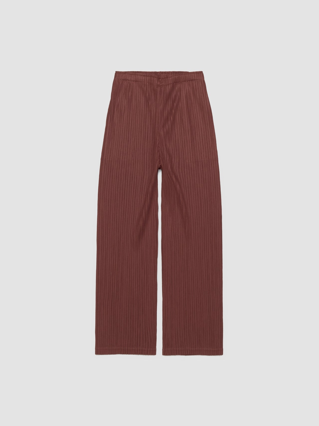 Pleated Pants in Brown