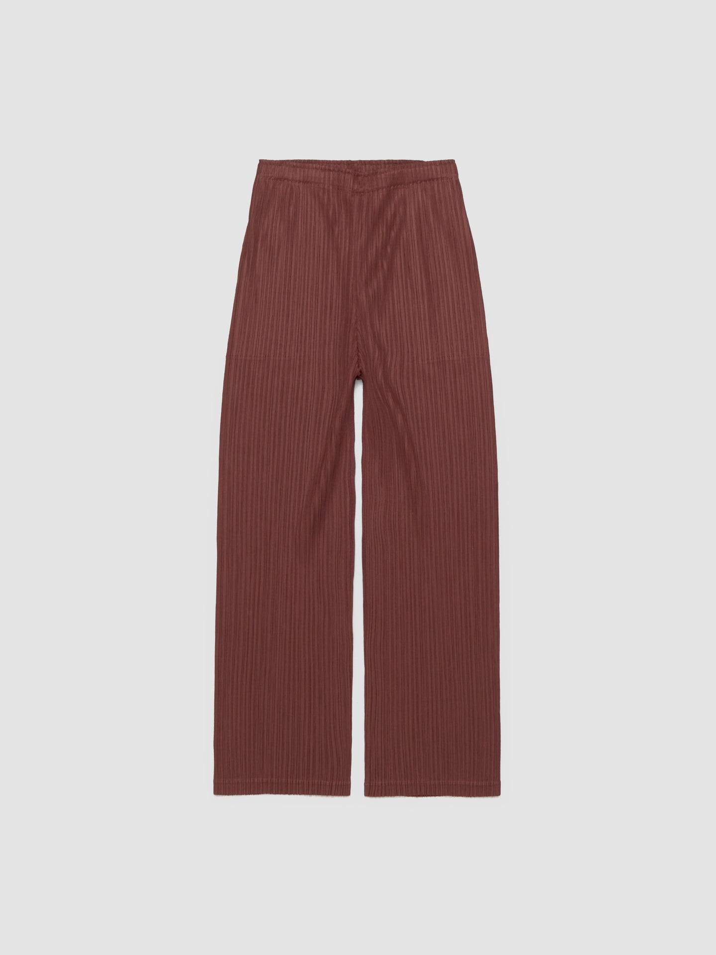 Pleated Pants in Brown