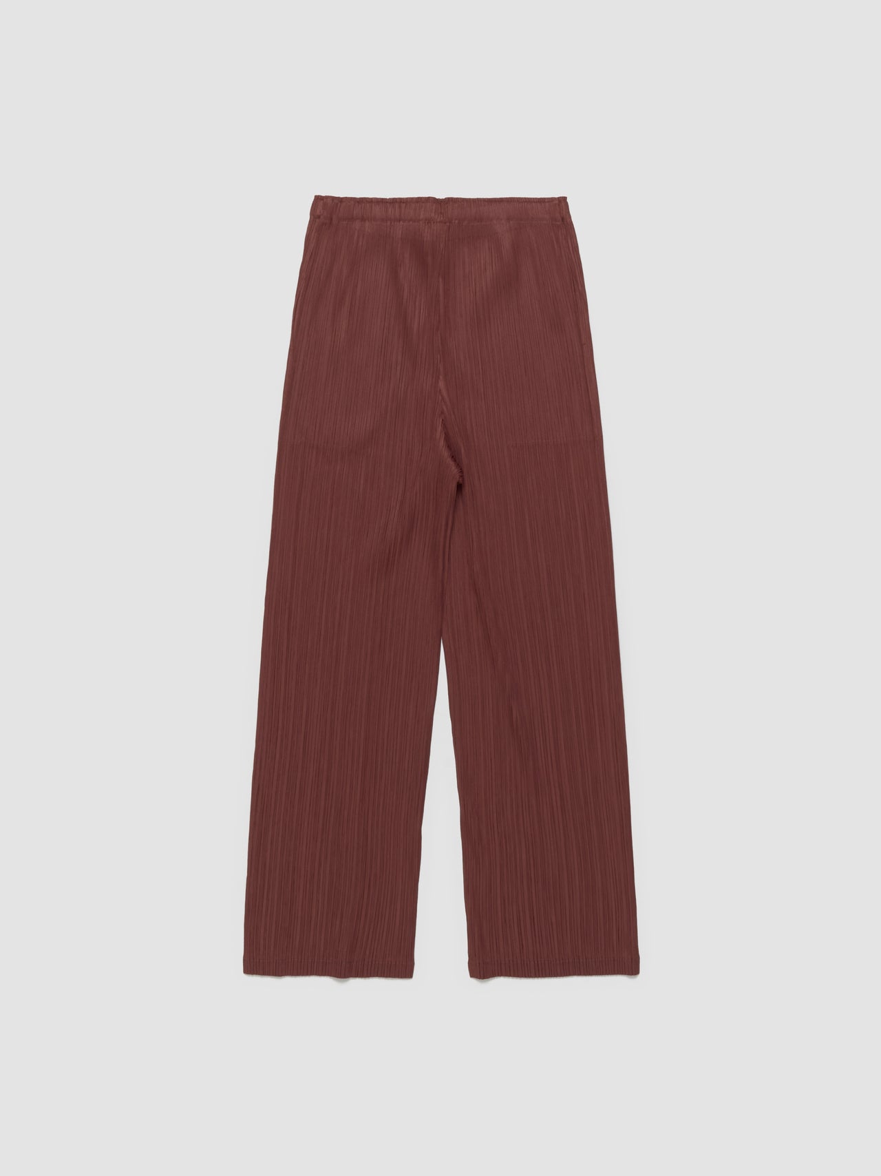 Pleated Pants in Brown