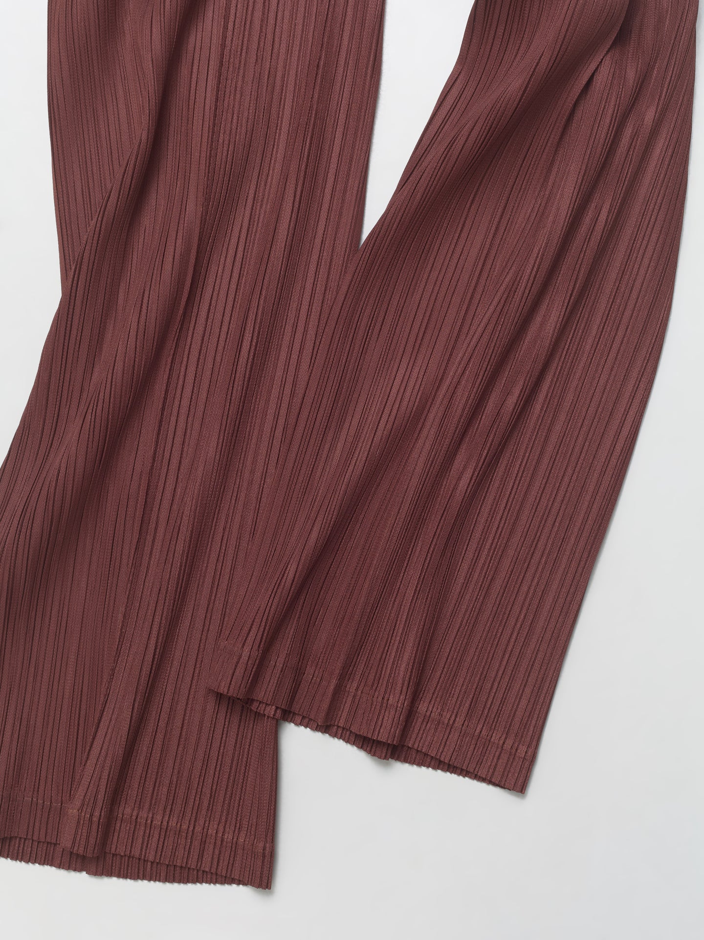 Pleated Pants in Brown