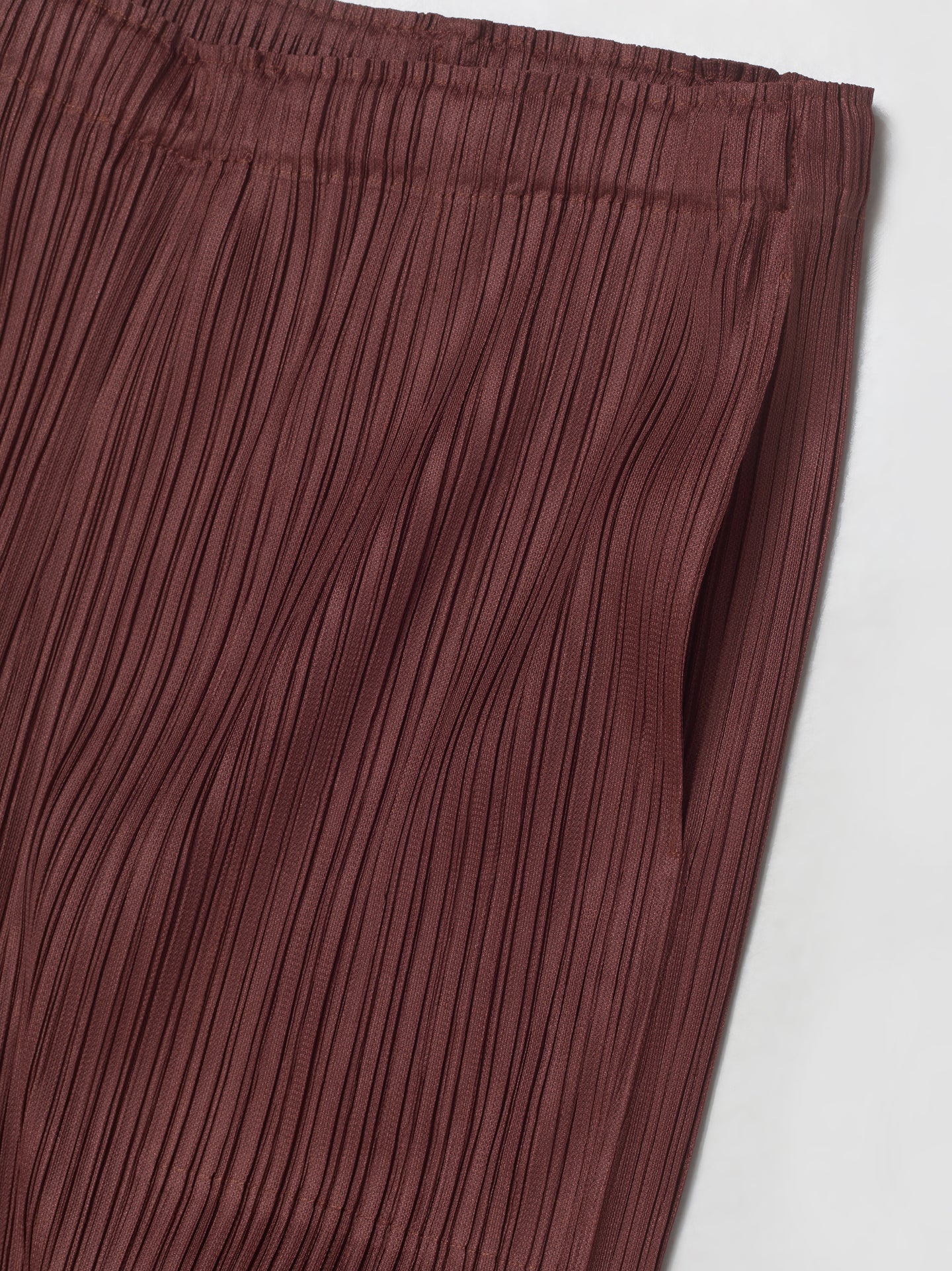 Pleated Pants in Brown