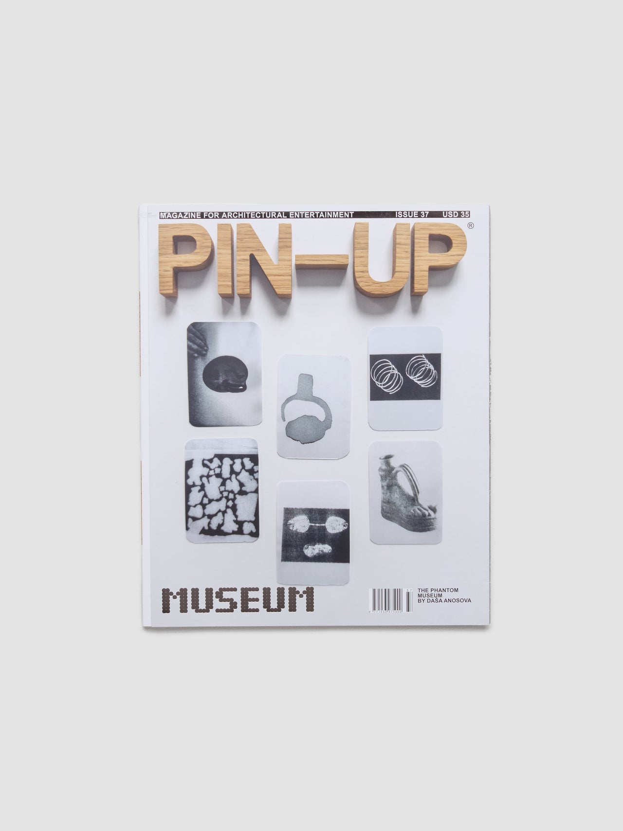 PIN-UP Issue 37