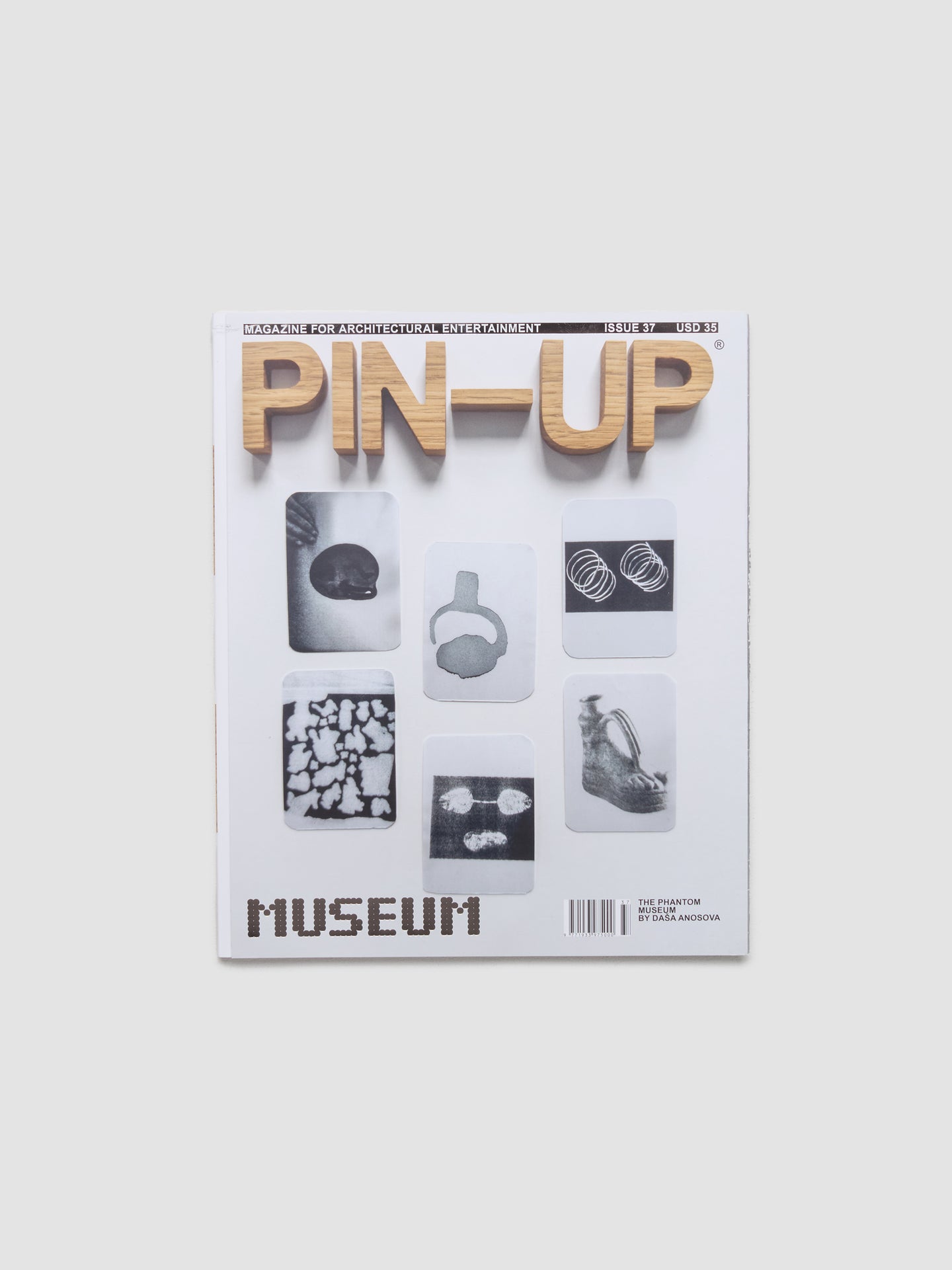 PIN-UP Issue 37