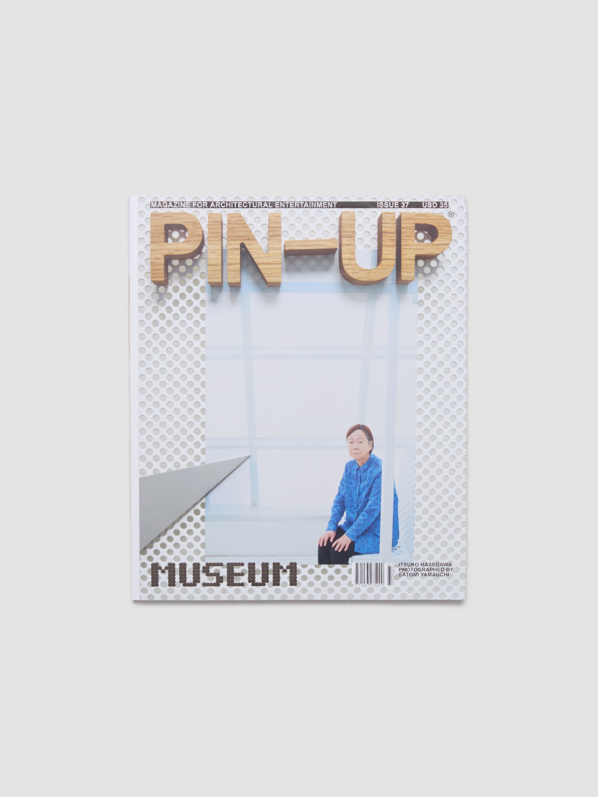 PIN-UP Issue 37