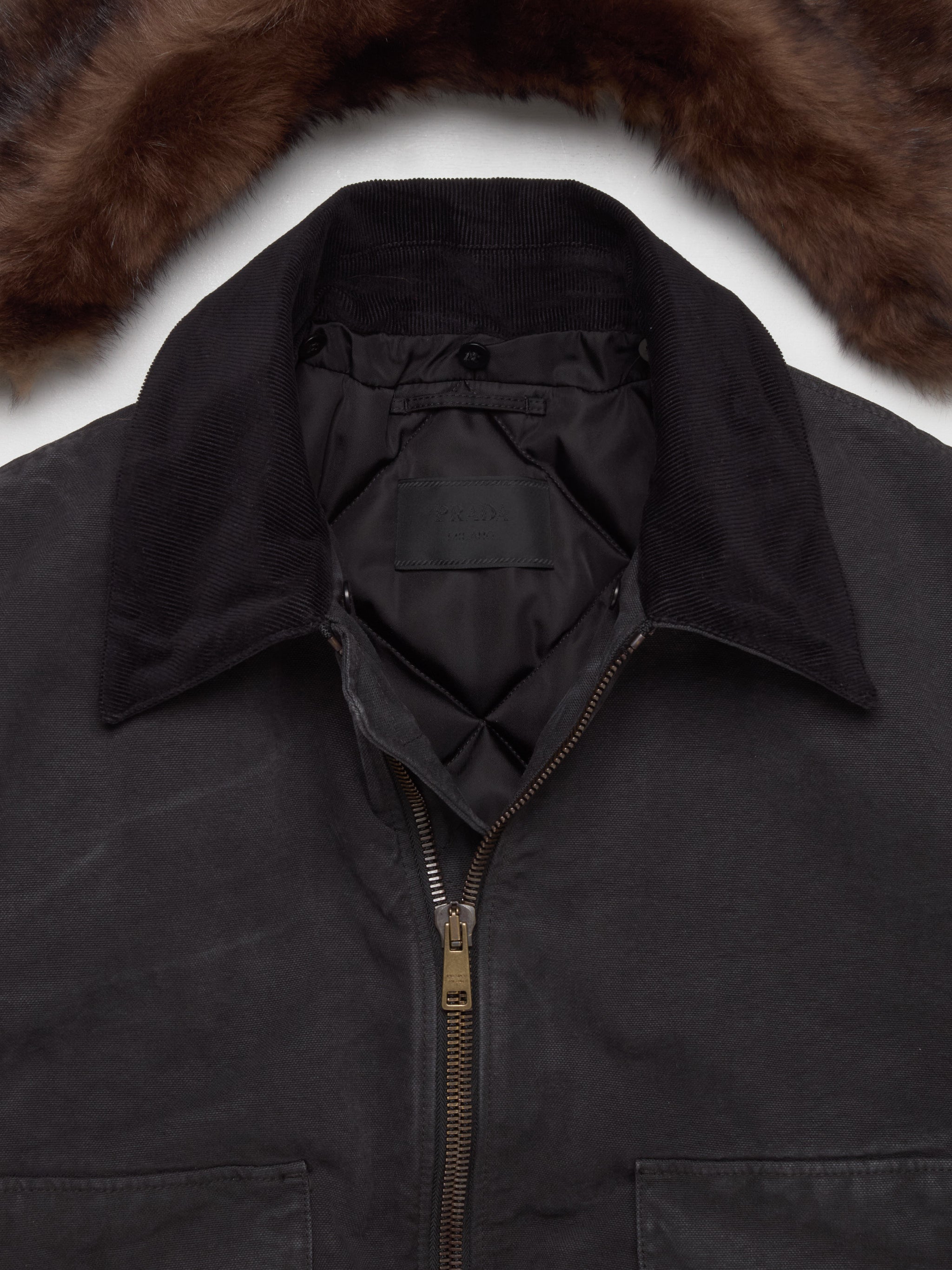 Cotton Blouson Jacket with Shearling Collar in Black