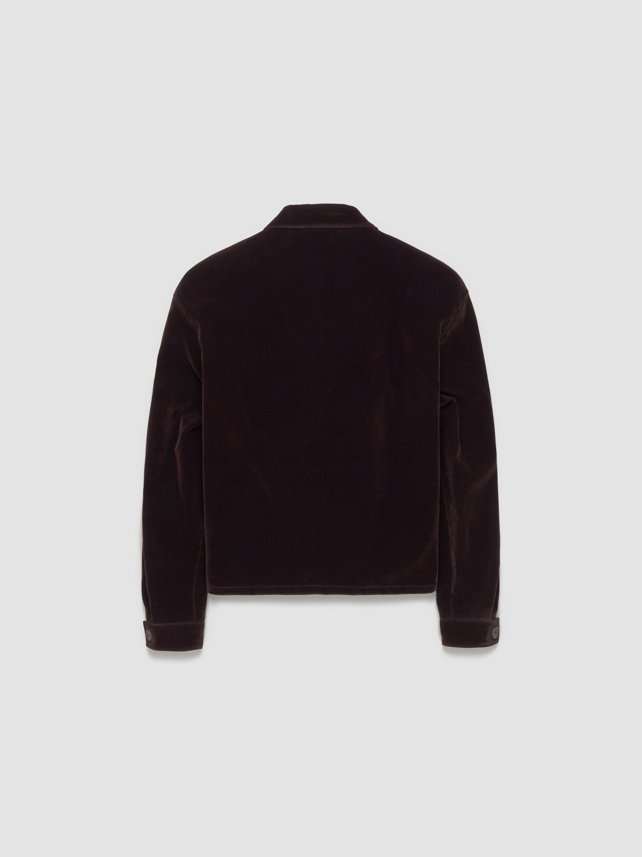 Cotton Velvet Blouson Jacket in Ebony