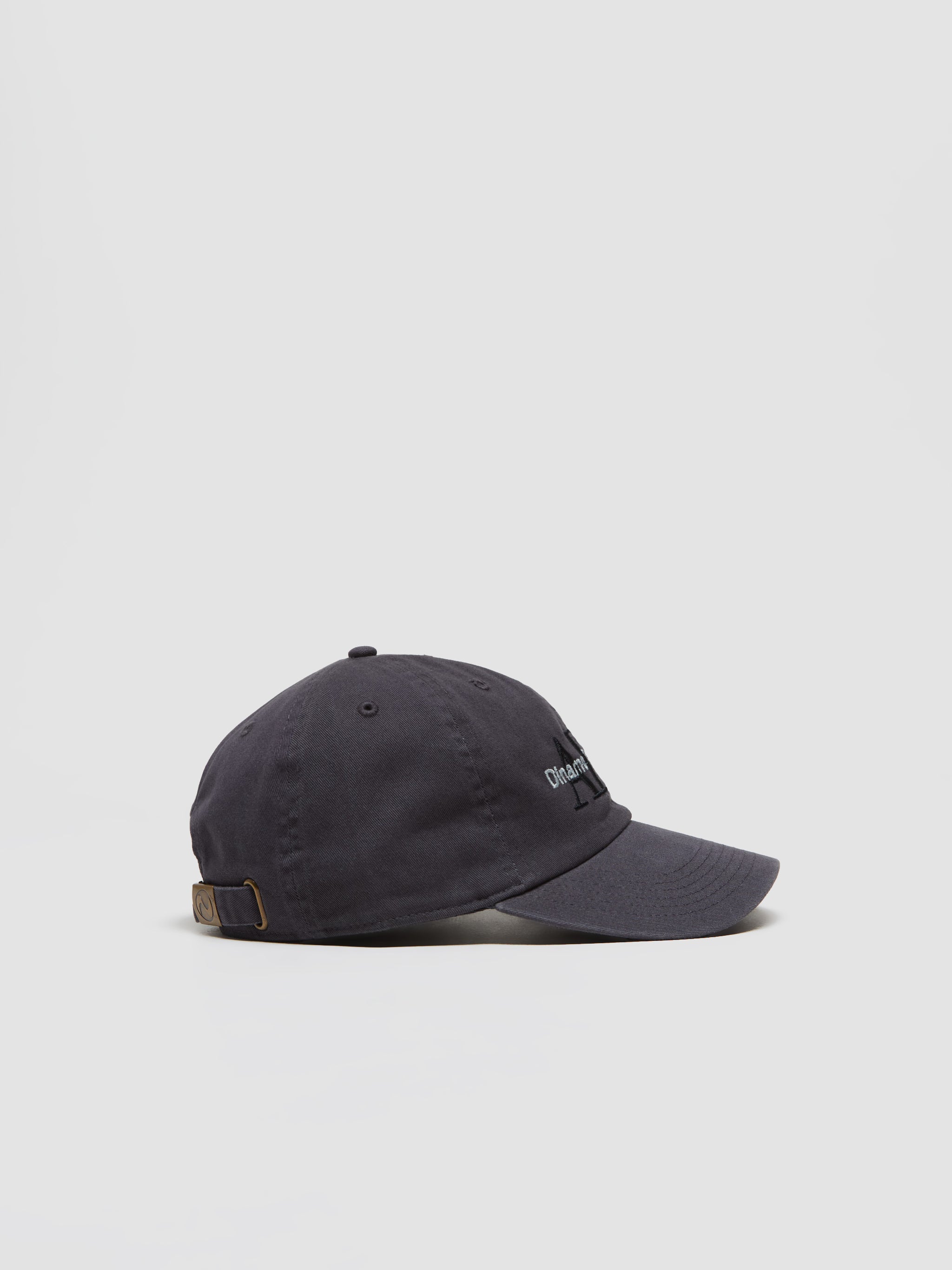 Apple Big Cap in Black