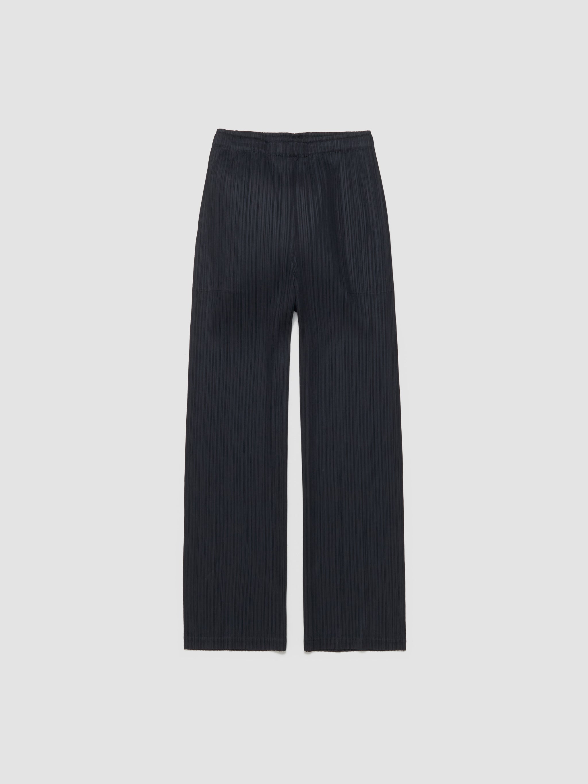 Pleated Pants in Black