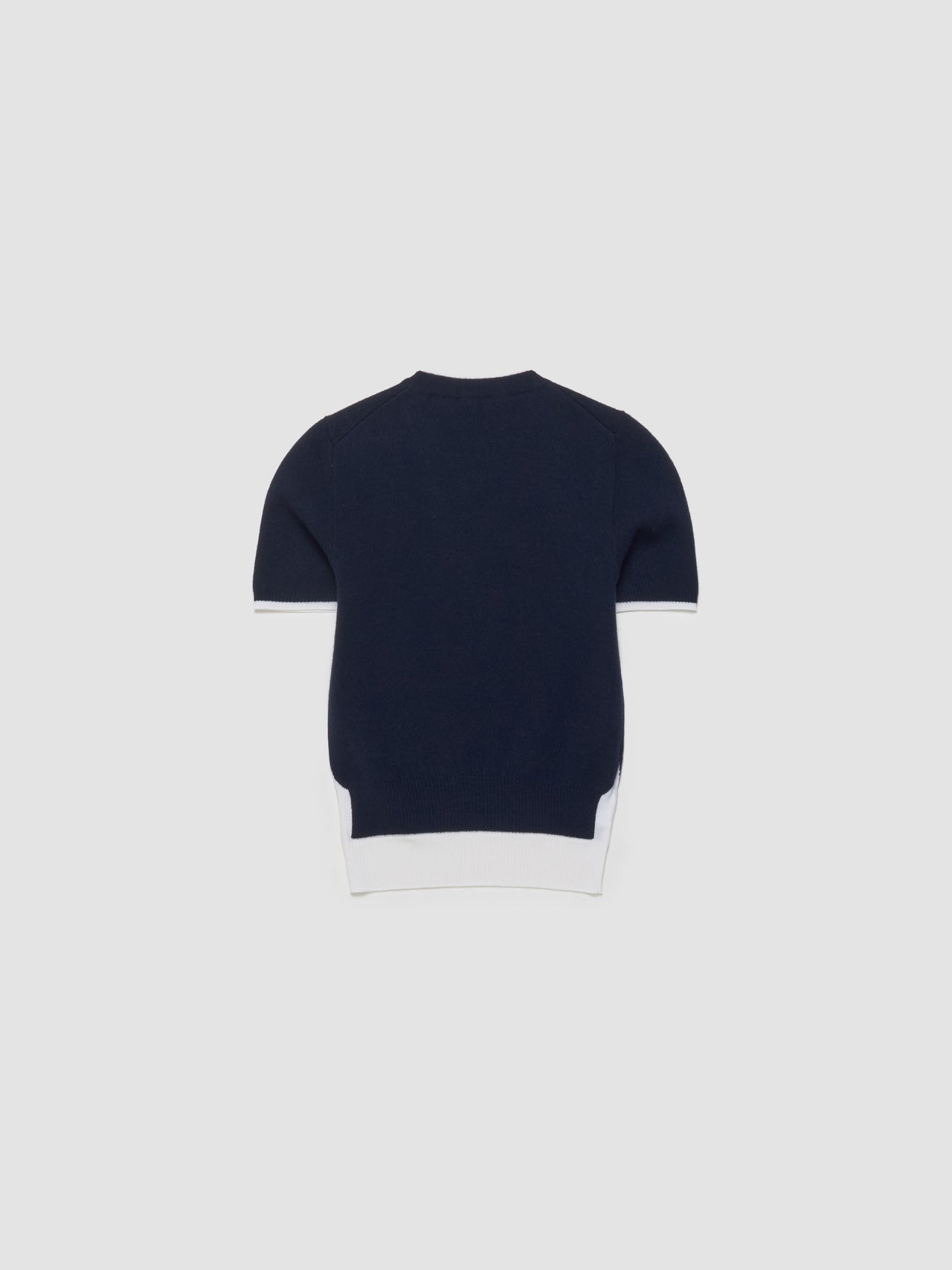 Cashmere Wool Short Sleeve Sweater in Blue & White