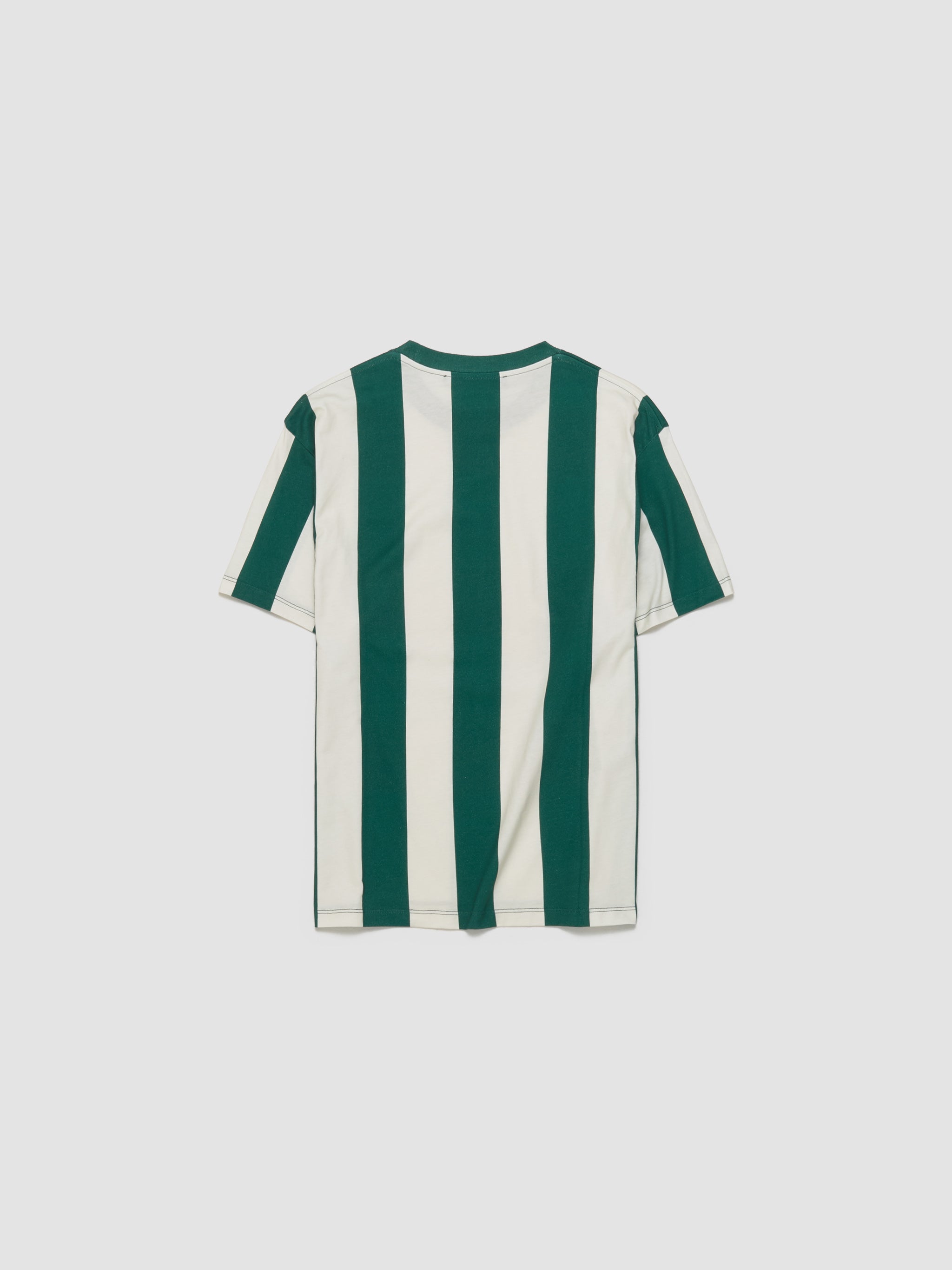 Box Stripe T-Shirt in Green & White