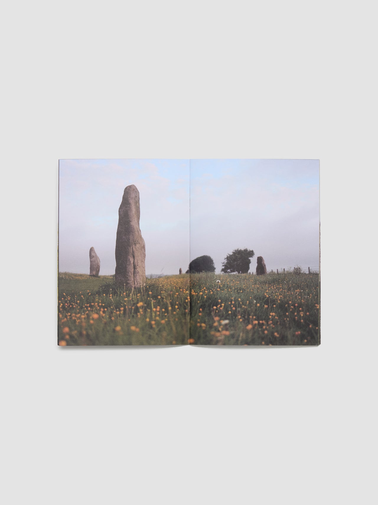 Leyline Zine