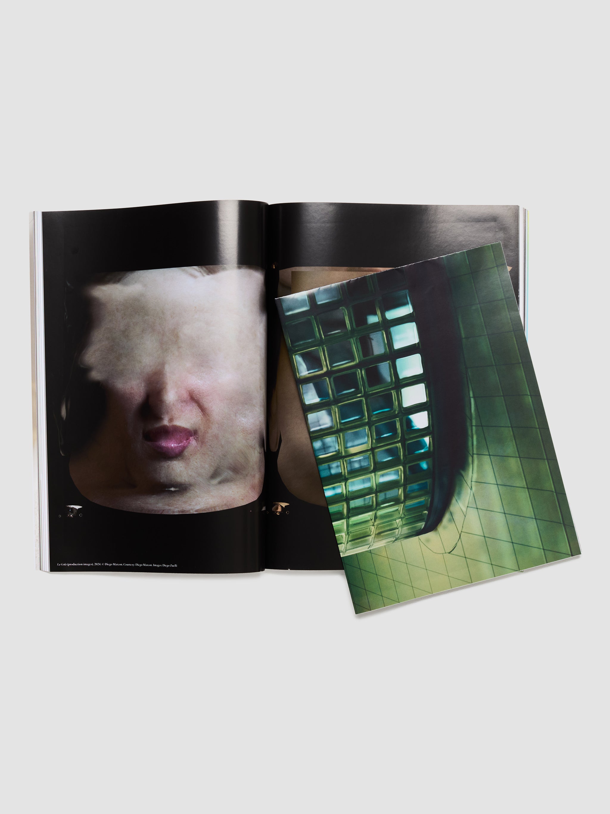 Mousse Magazine Issue 91