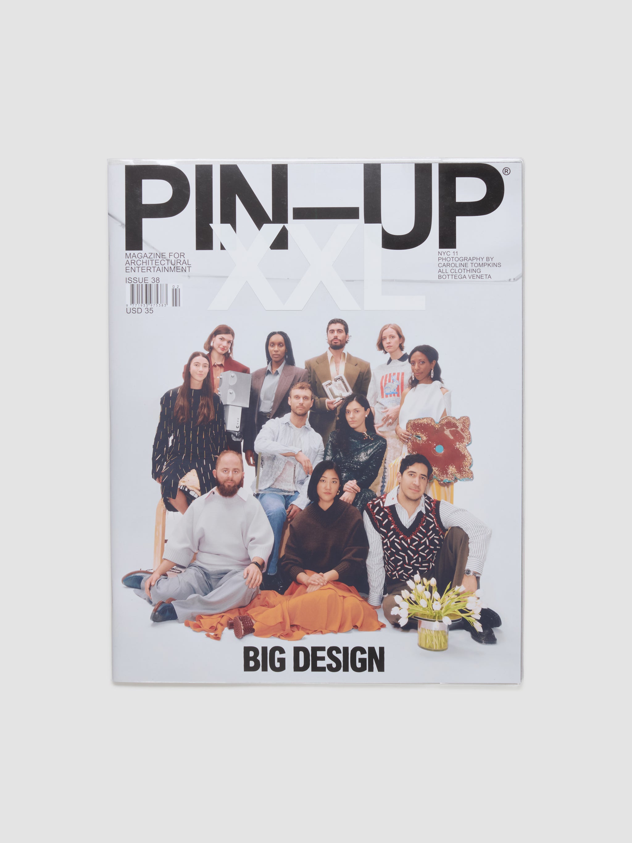 PIN-UP Issue 38