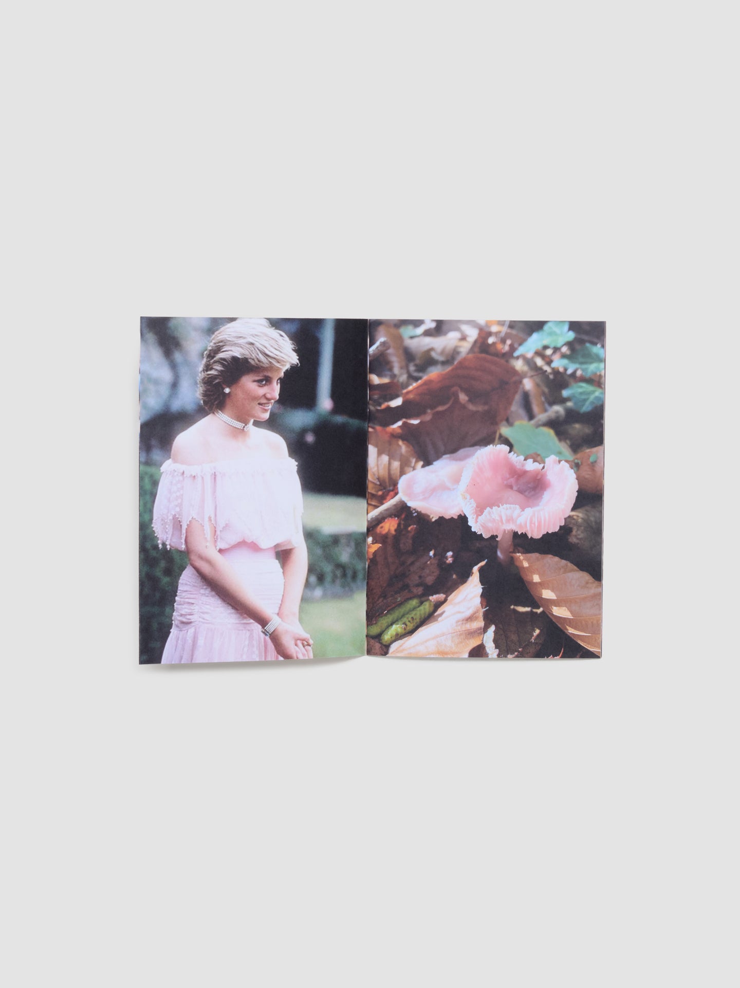 Princess Diana as Mushrooms