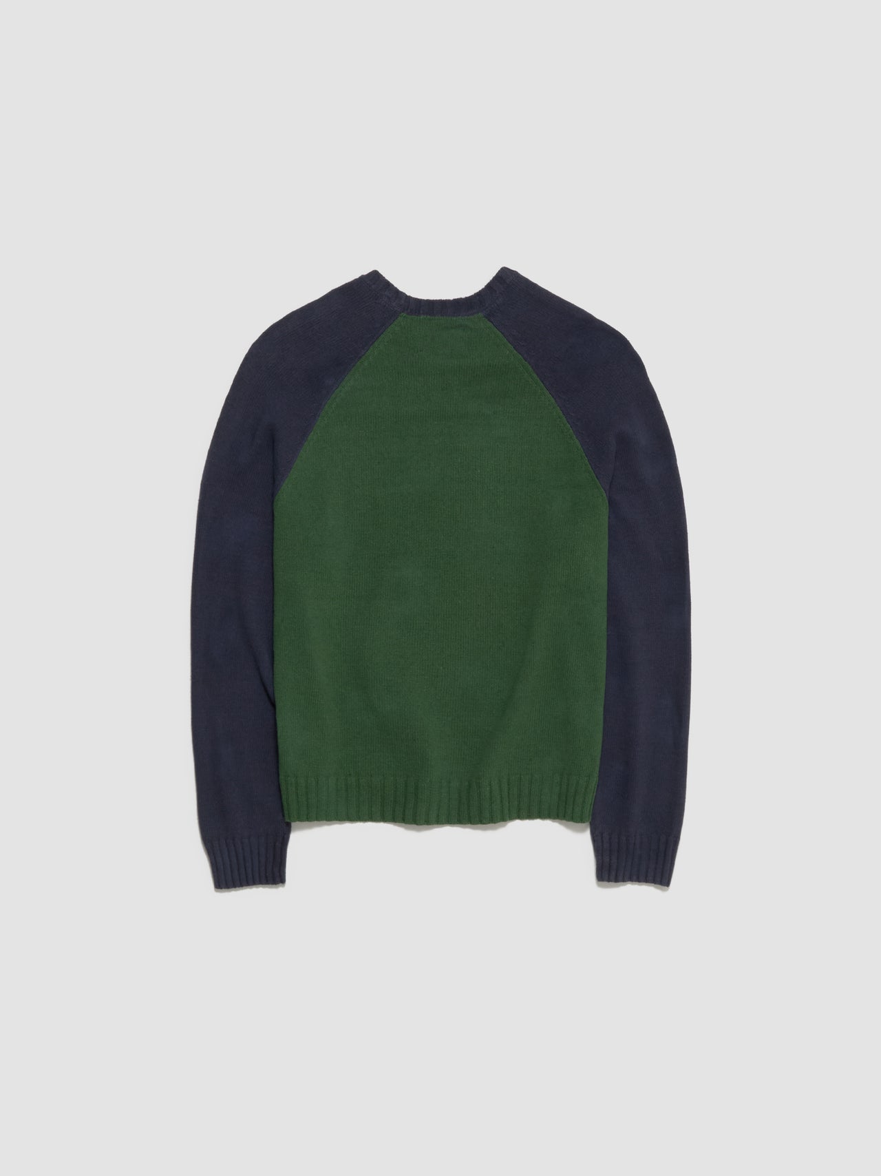 Colorblocked Raglan Crew Sweatshirt in Green