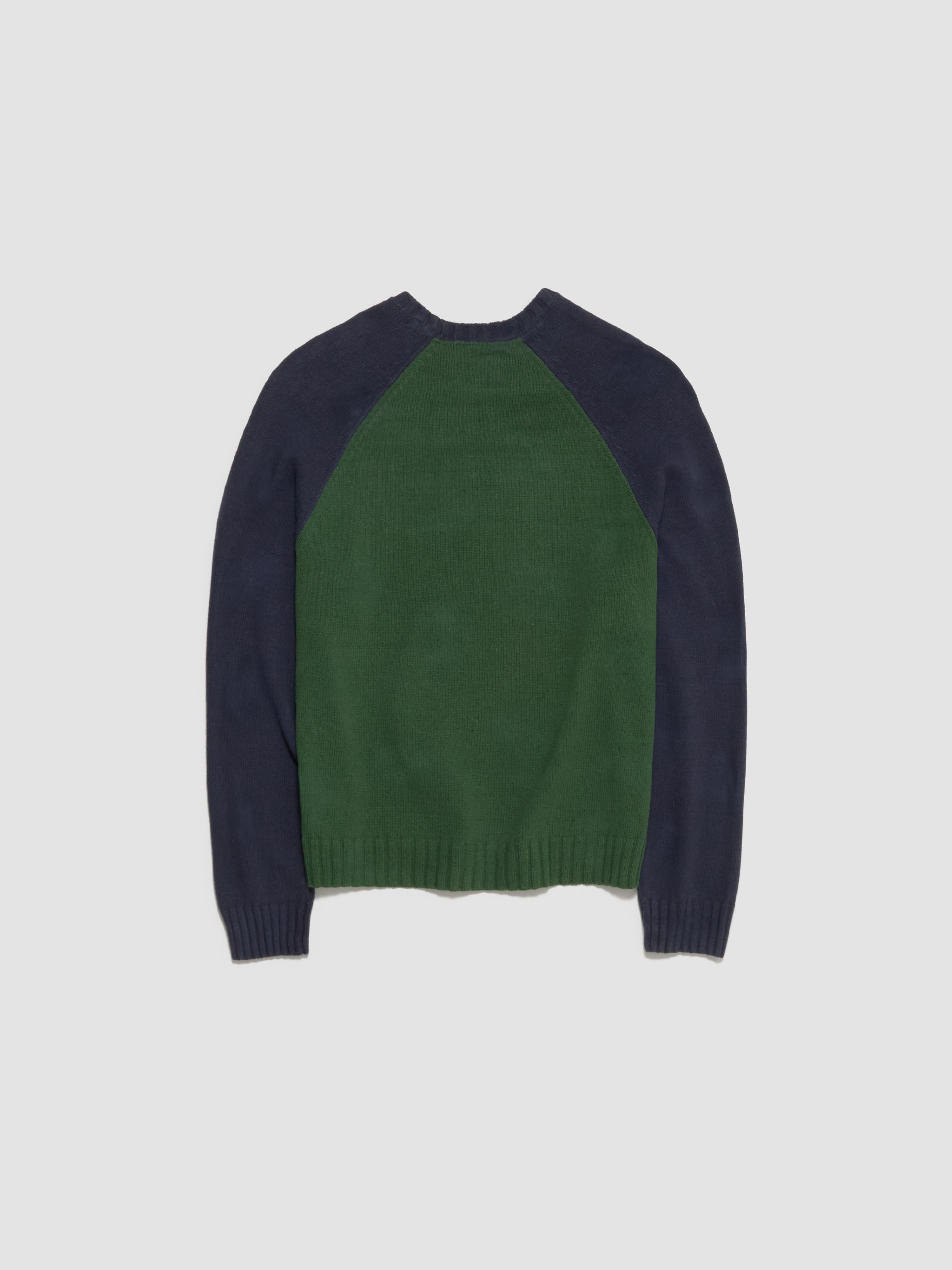 Colorblocked Raglan Crew Sweatshirt in Green