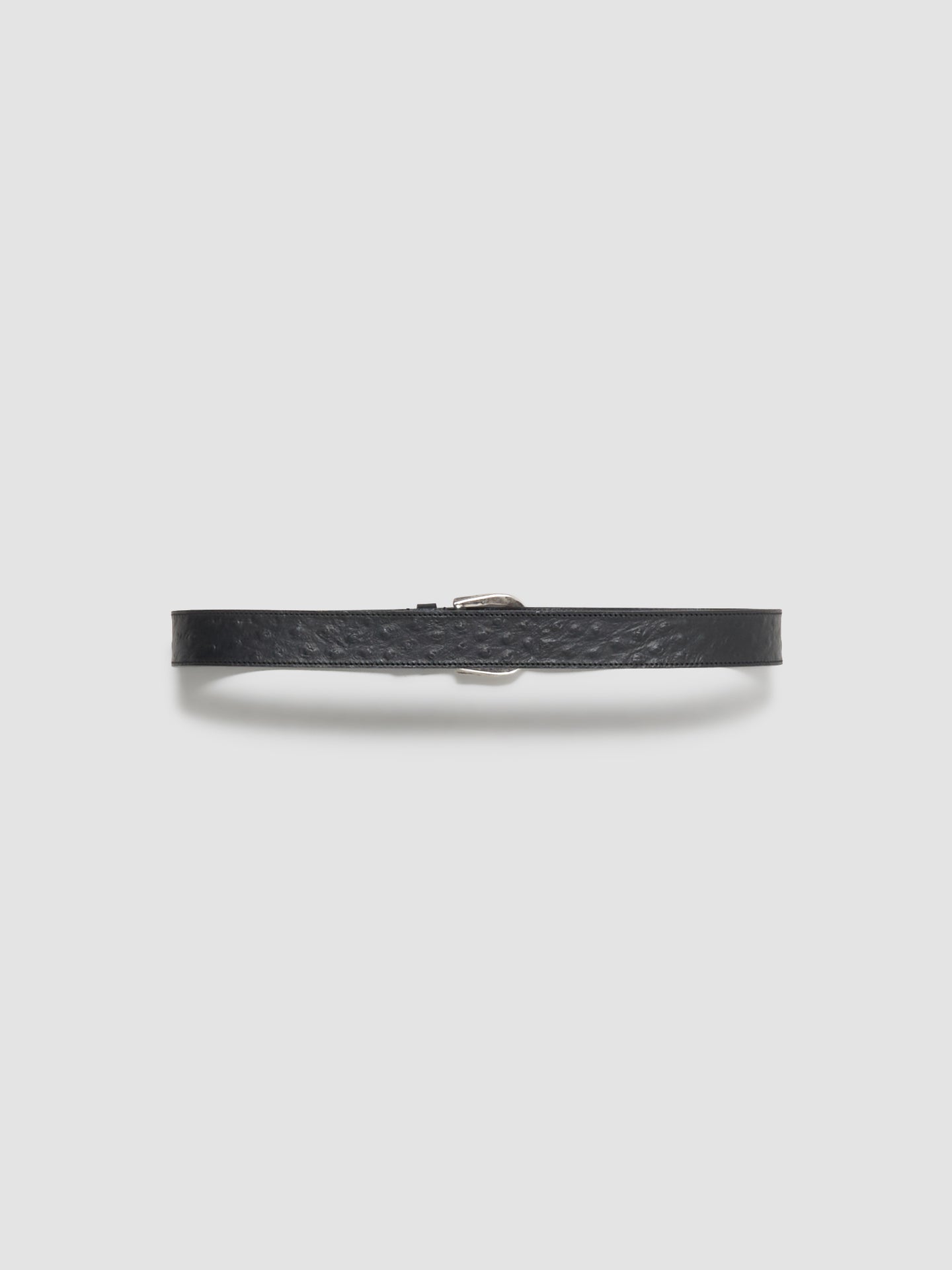 M2434 Ostrich Belt in Black