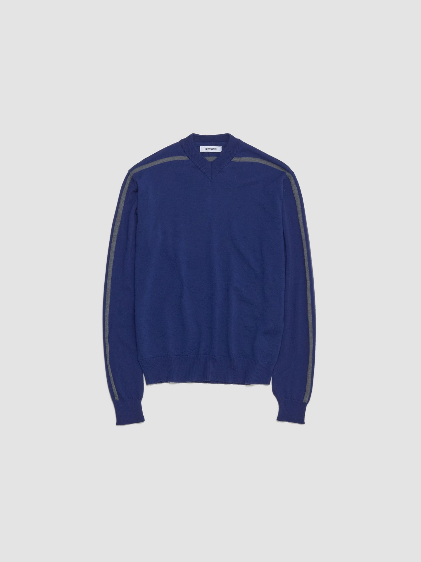 Sport Jumper in Blue