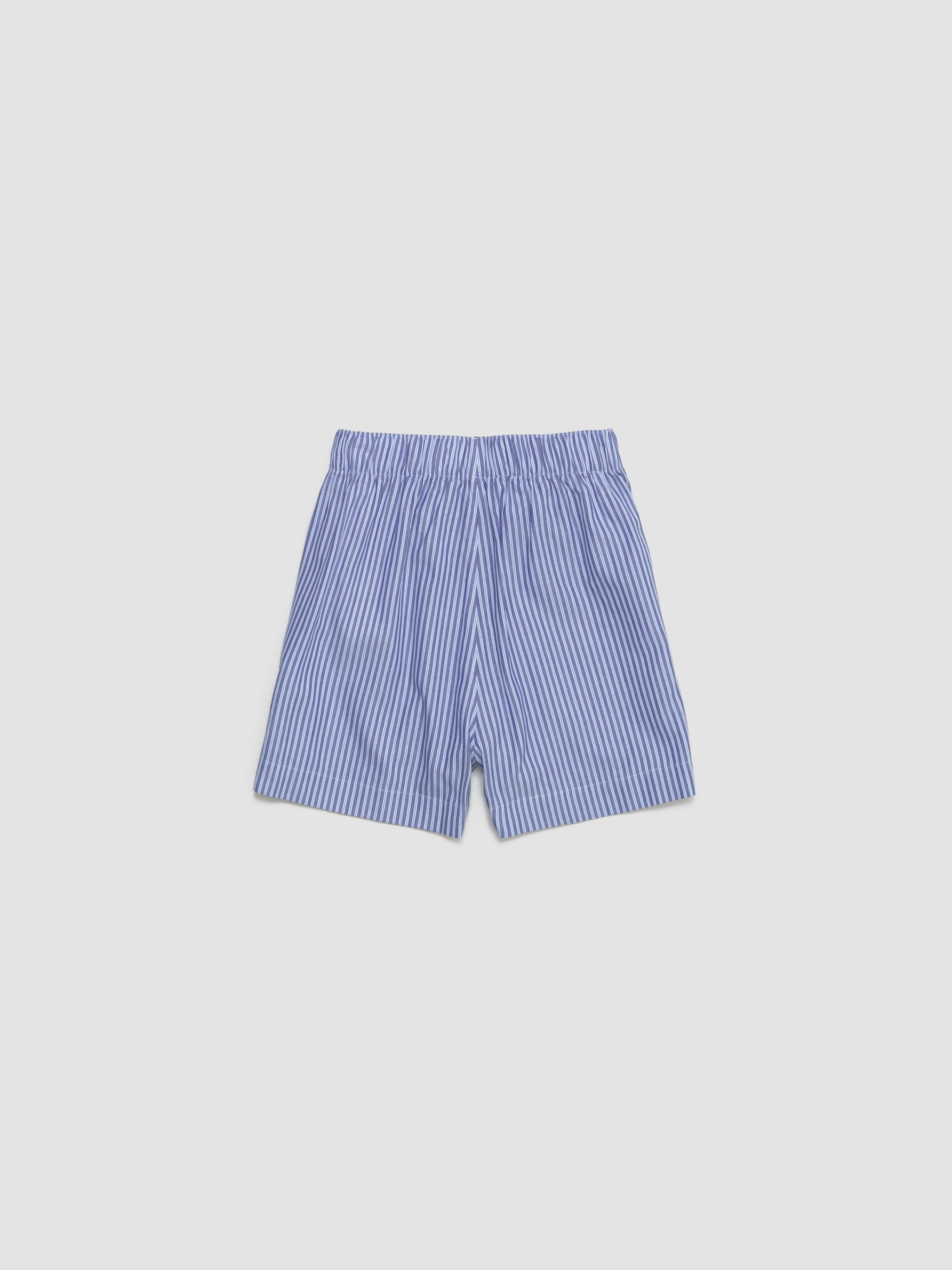 Wall Street Shorts in Blue Stripes One