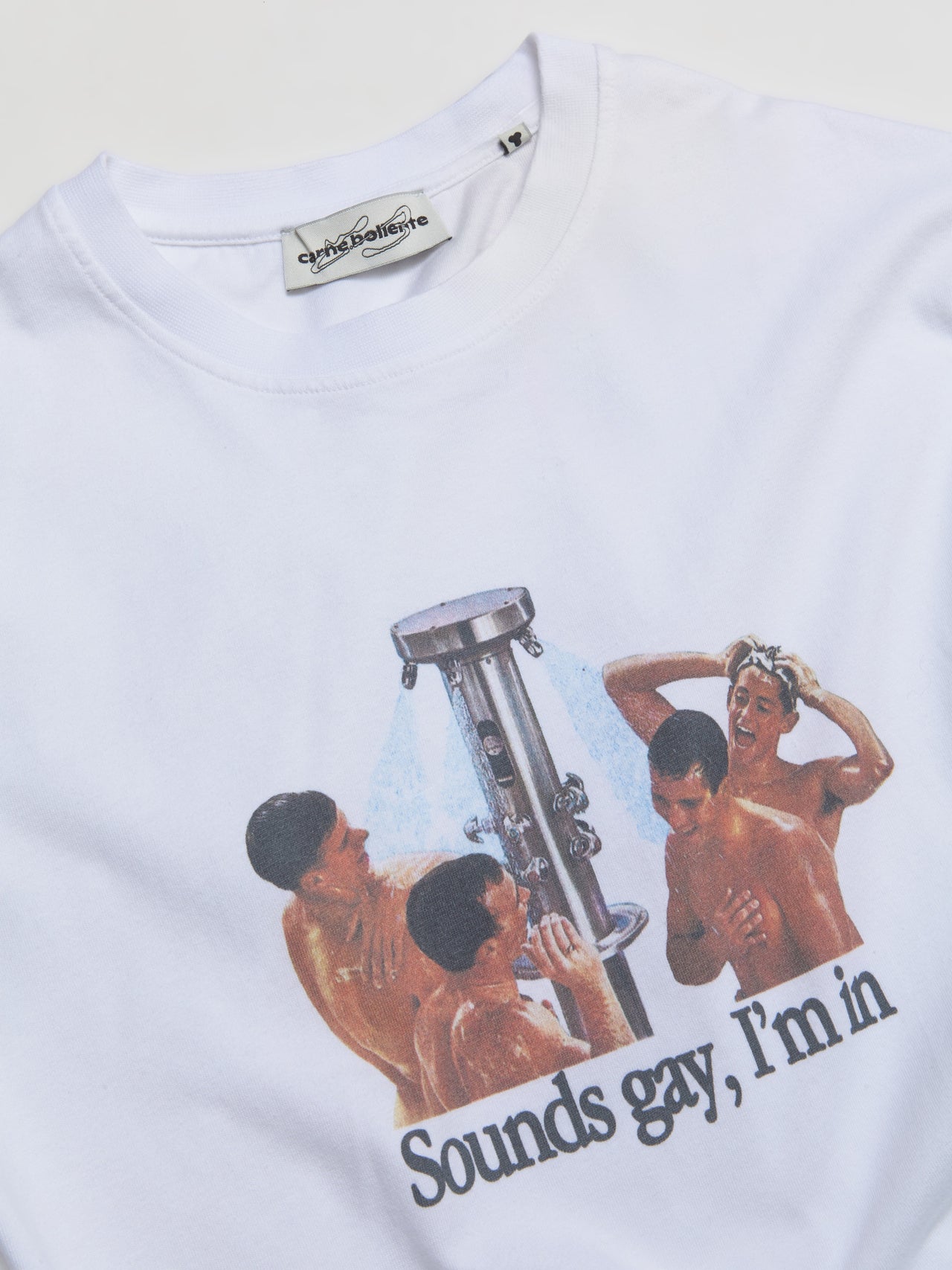 Sounds Gay, I'm In T-Shirt in White