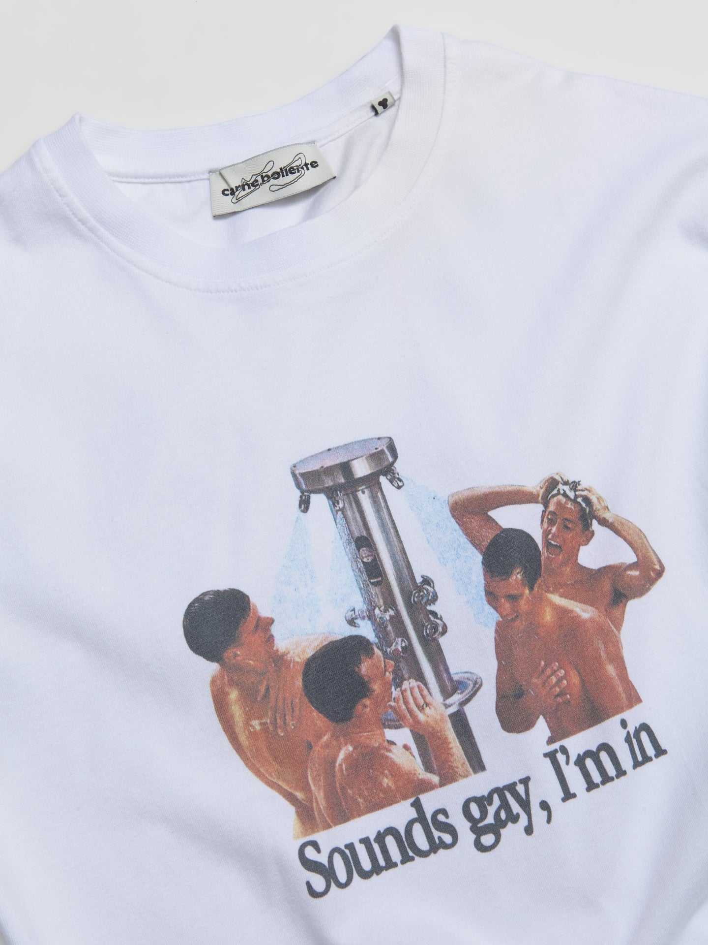 Sounds Gay, I'm In T-Shirt in White