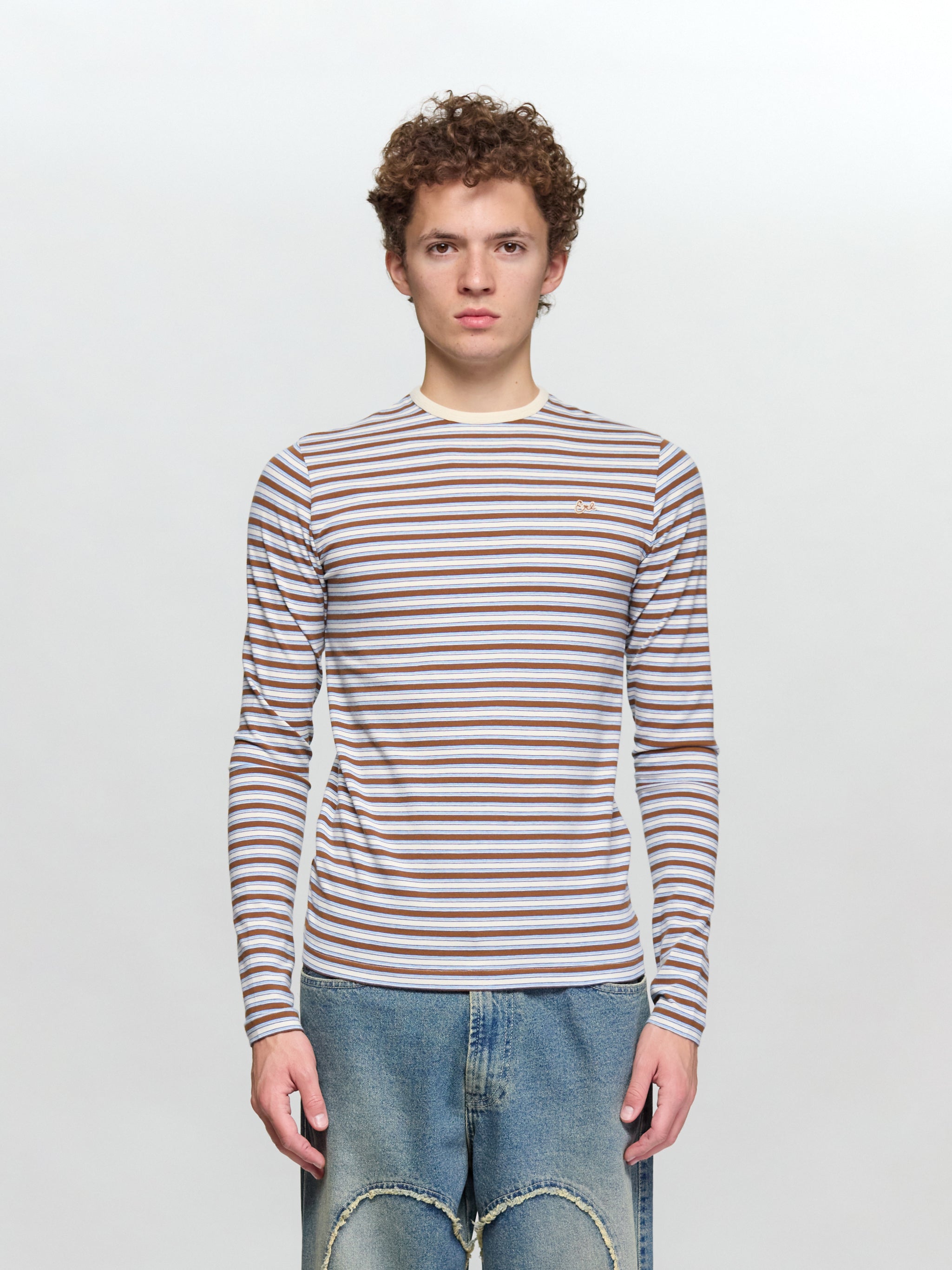 Striped Long Sleeve T-Shirt in Brown
