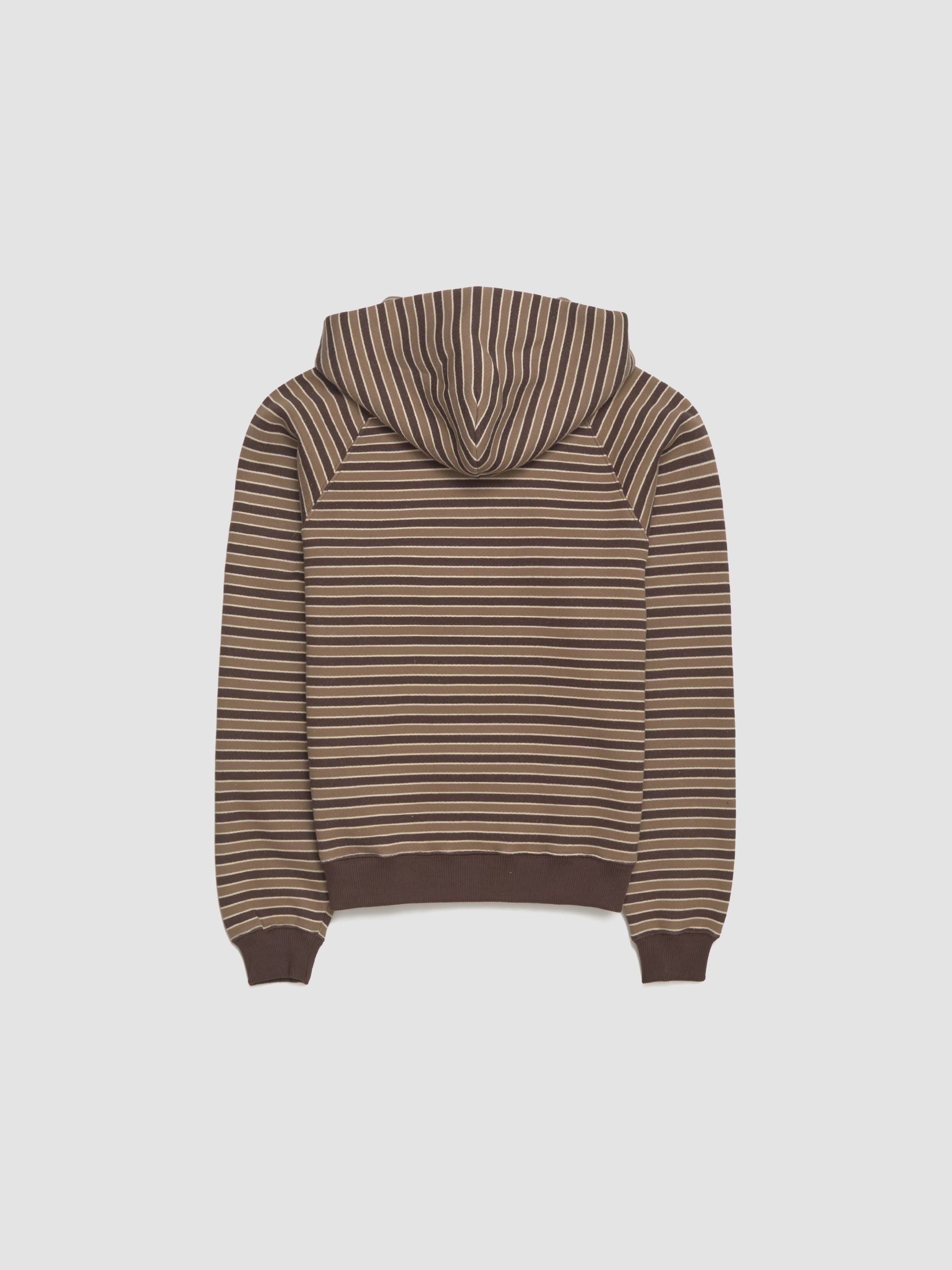 Ace Striped Zip Hoodie in Brown