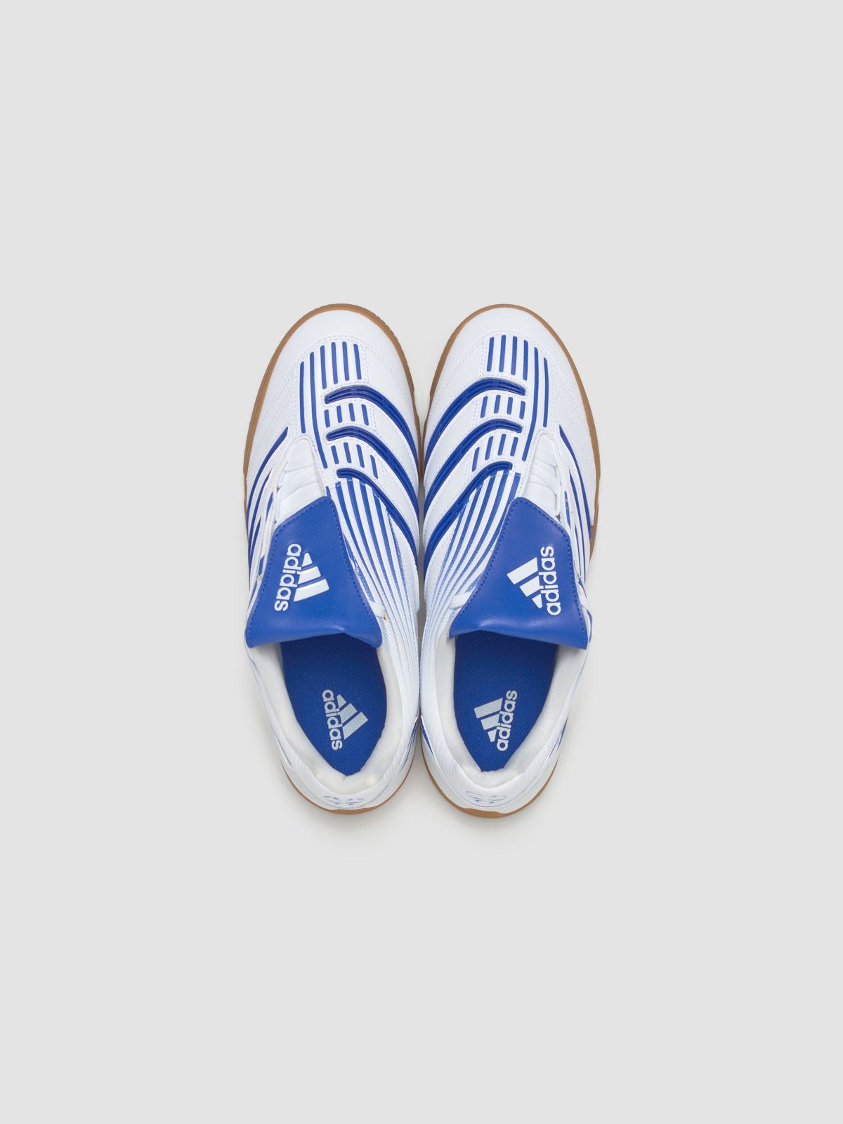 Predator Sala Sneaker in Cloud White & Royal Blue