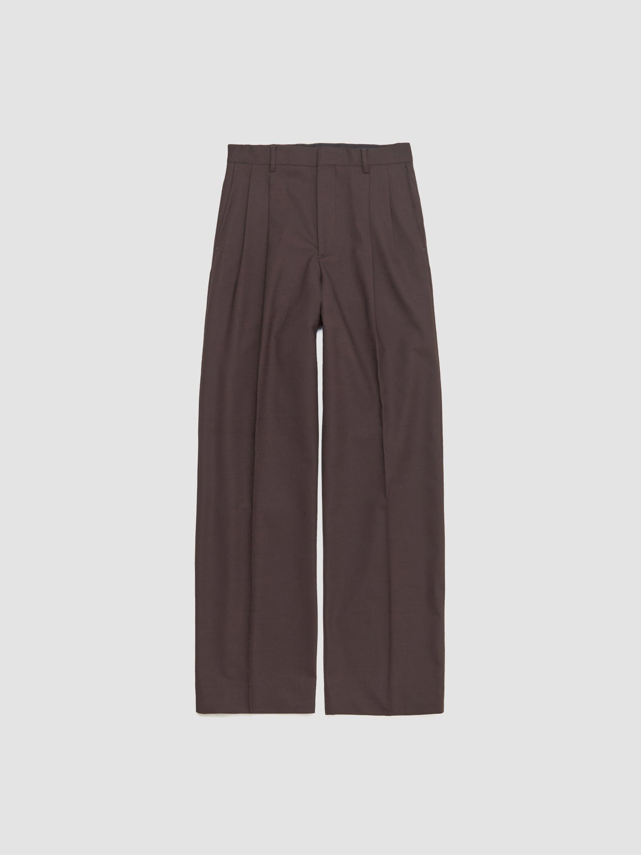 Wide Pleated Trousers in Brown