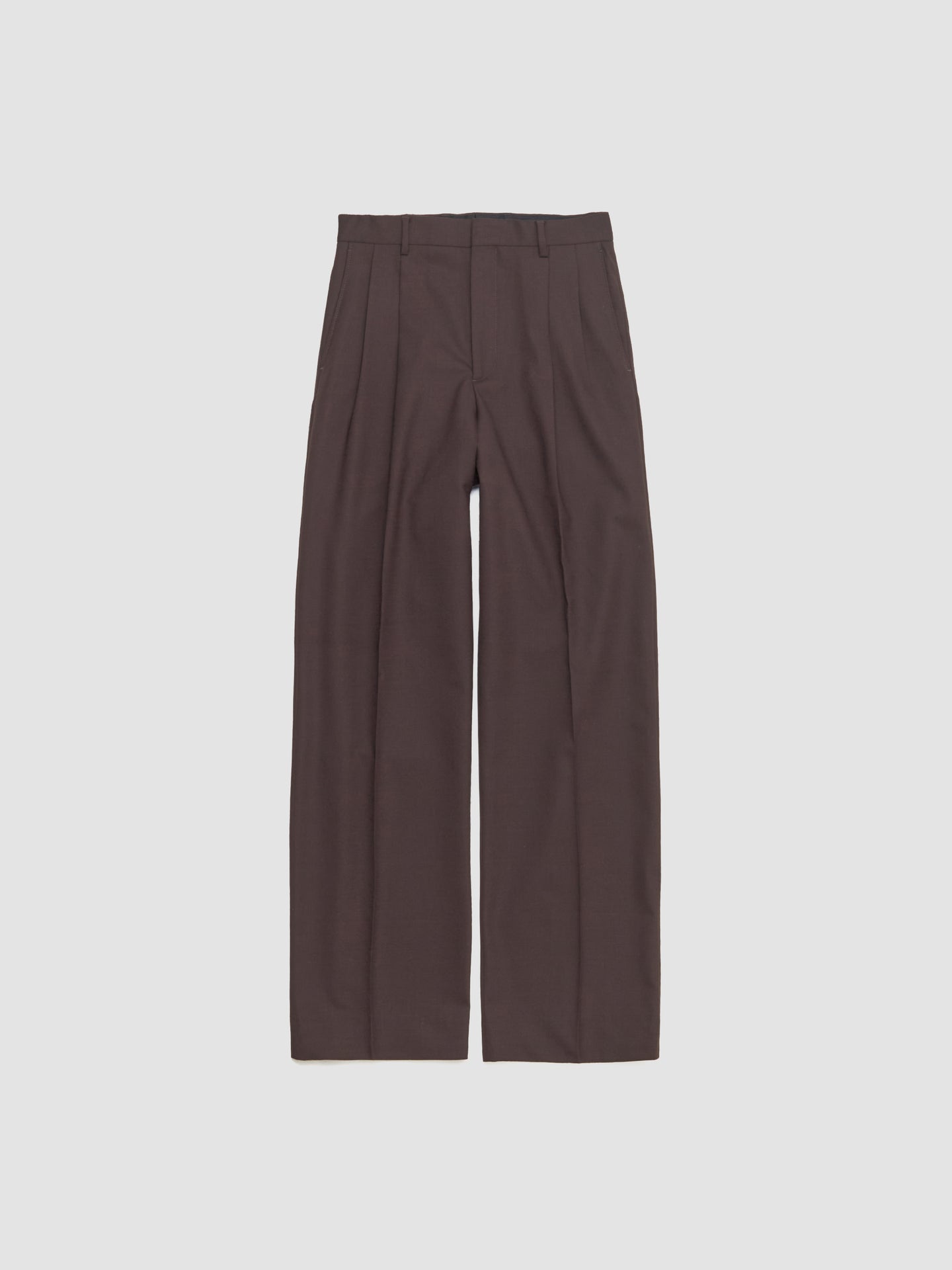 Wide Pleated Trousers in Brown