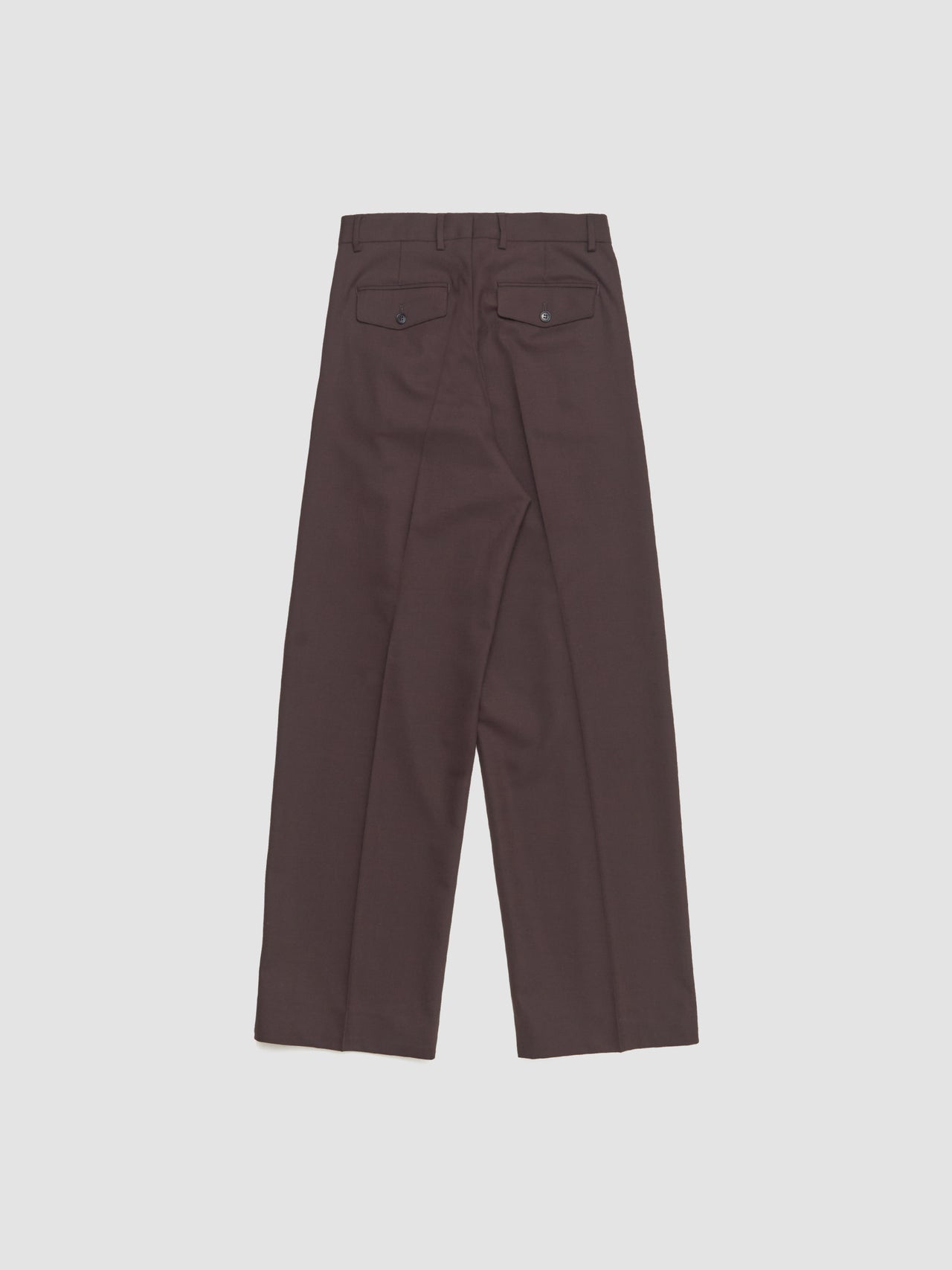 Wide Pleated Trousers in Brown