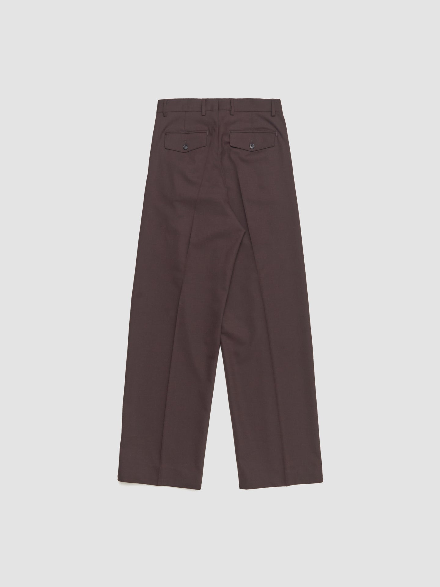 Wide Pleated Trousers in Brown