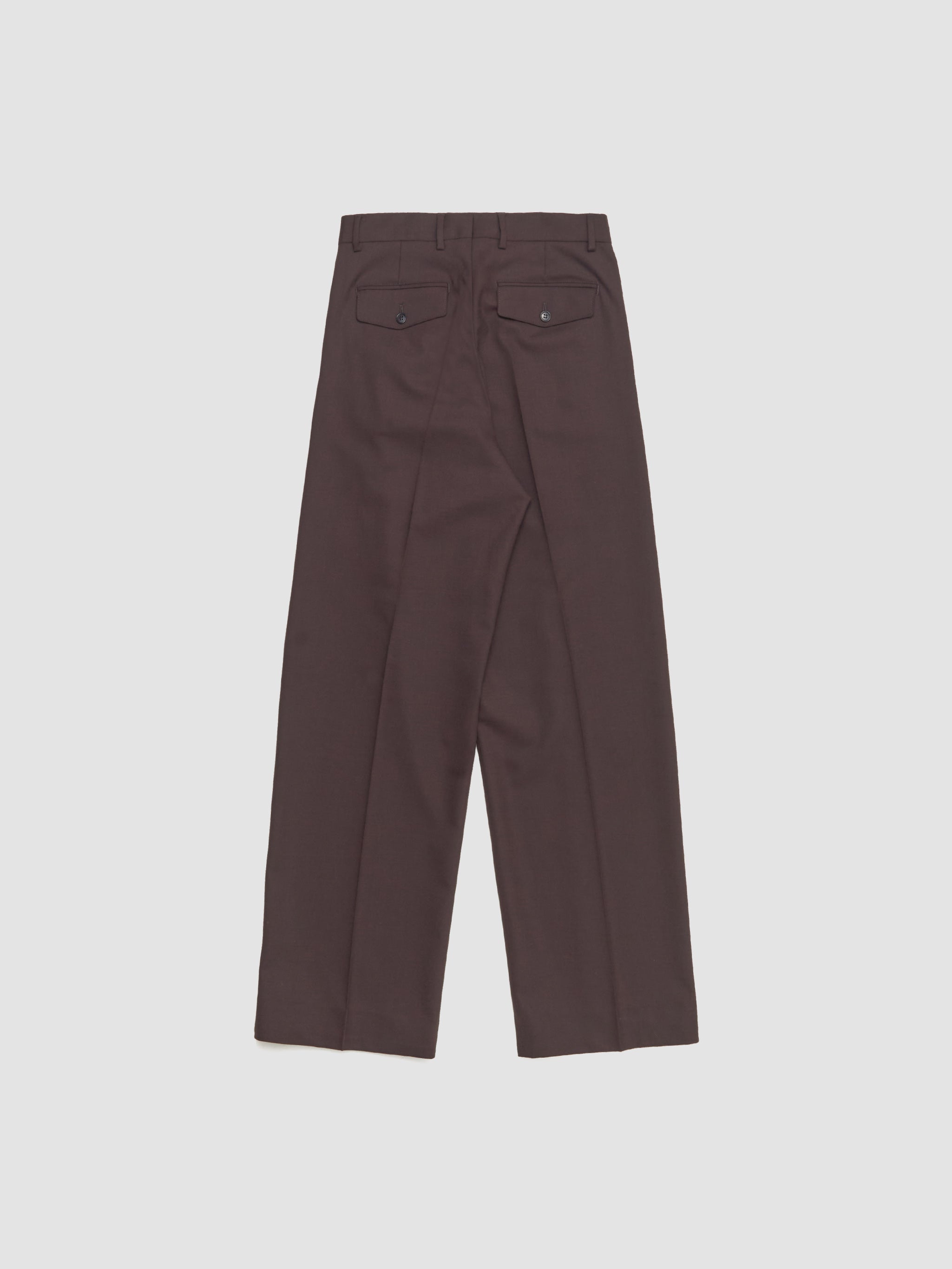 Wide Pleated Trousers in Brown