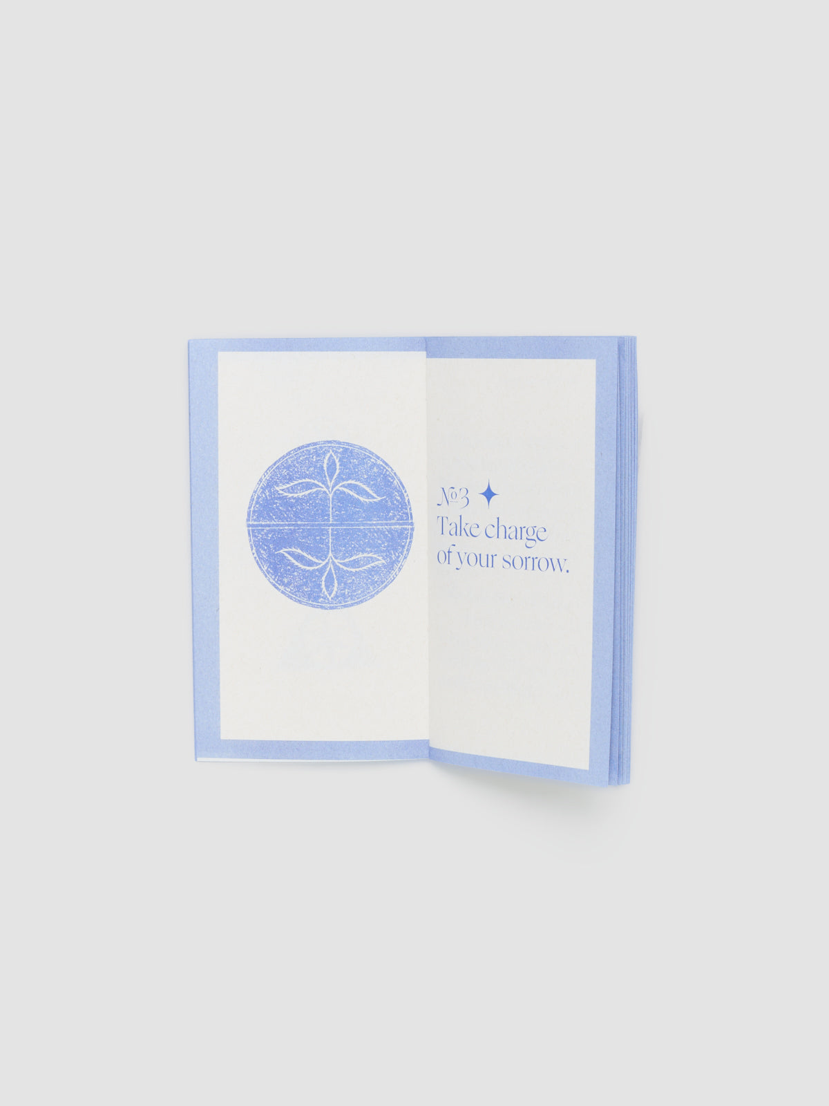 Efemmera Reissue #5: A Witch Recipe for Grievers