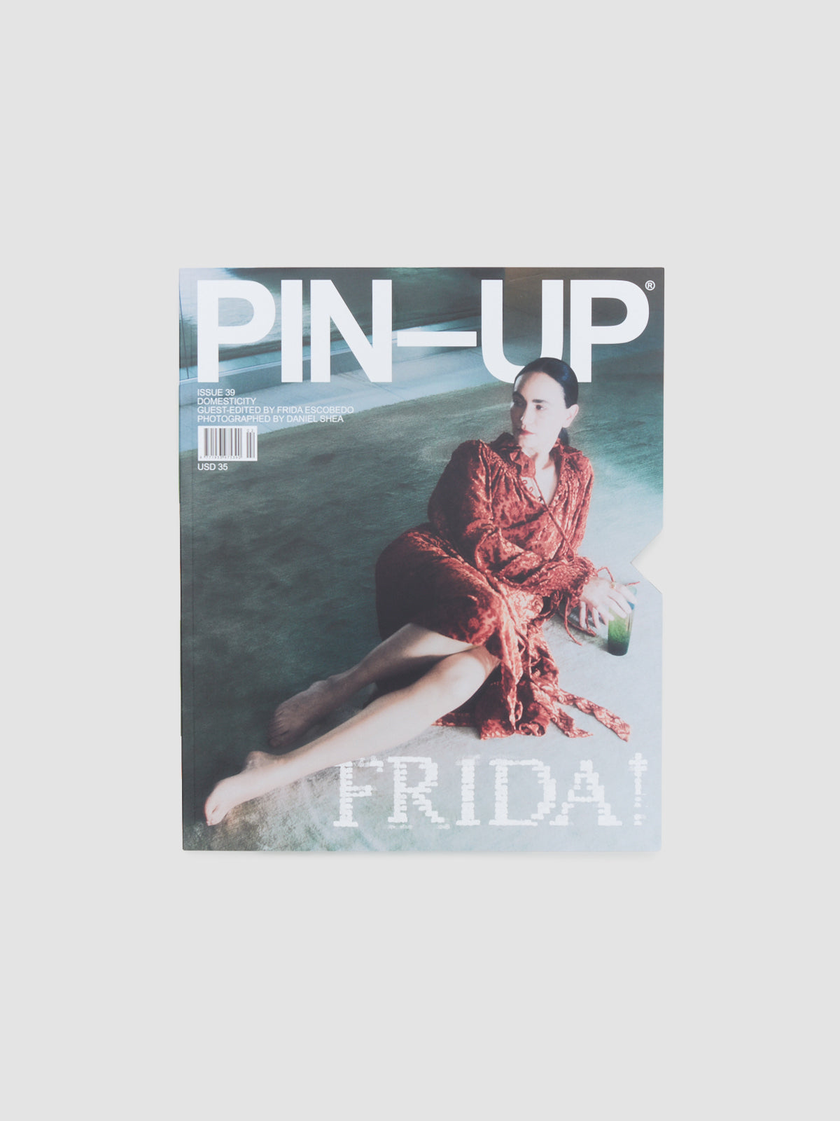 PIN-UP Issue 39