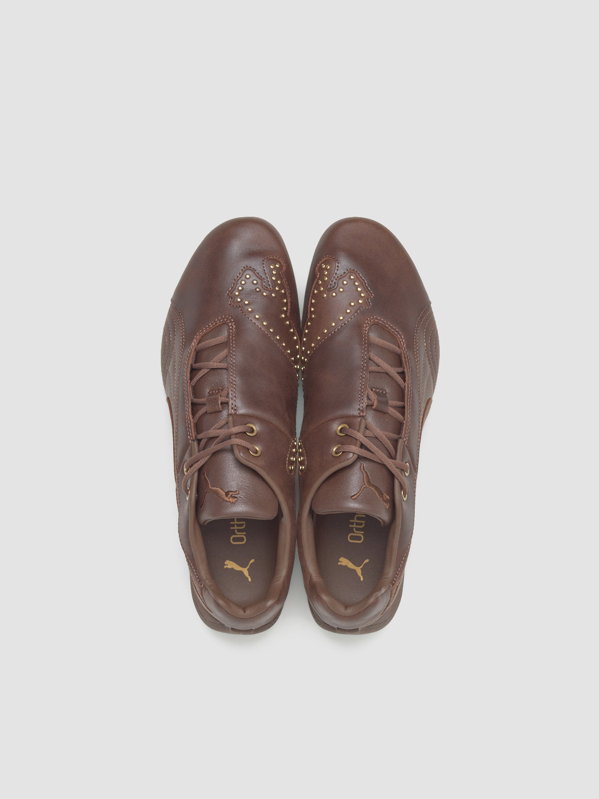 Future Cat Studs Sneaker in Espresso Brown & Gold