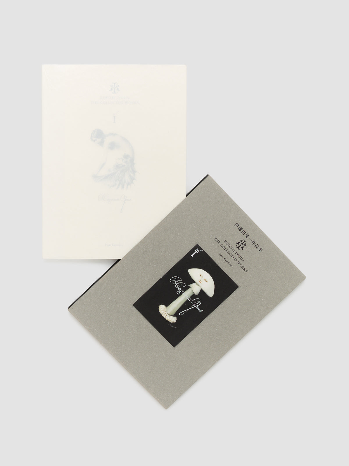 Koichi Iyoda - The Collected Works