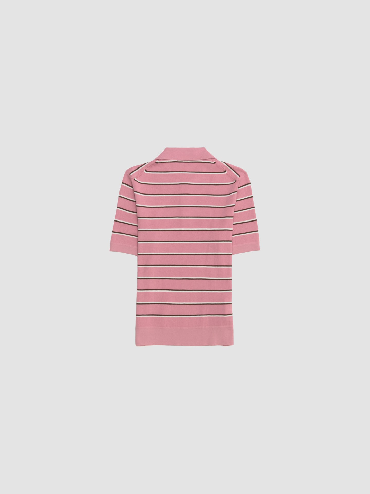 Striped Polo Shirt in Pink