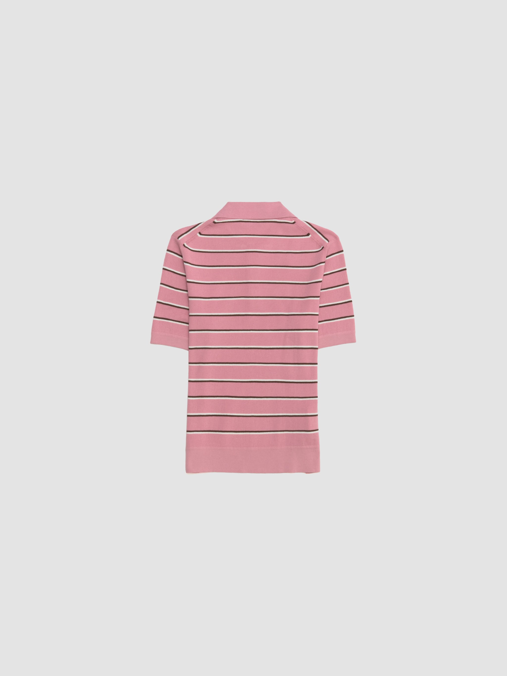 Striped Polo Shirt in Pink