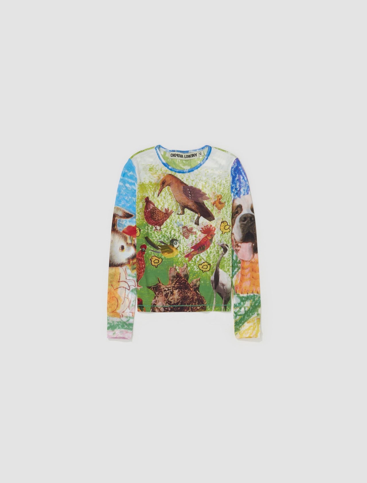 Birds Everywhere Fitted Mesh Top in Multicolor