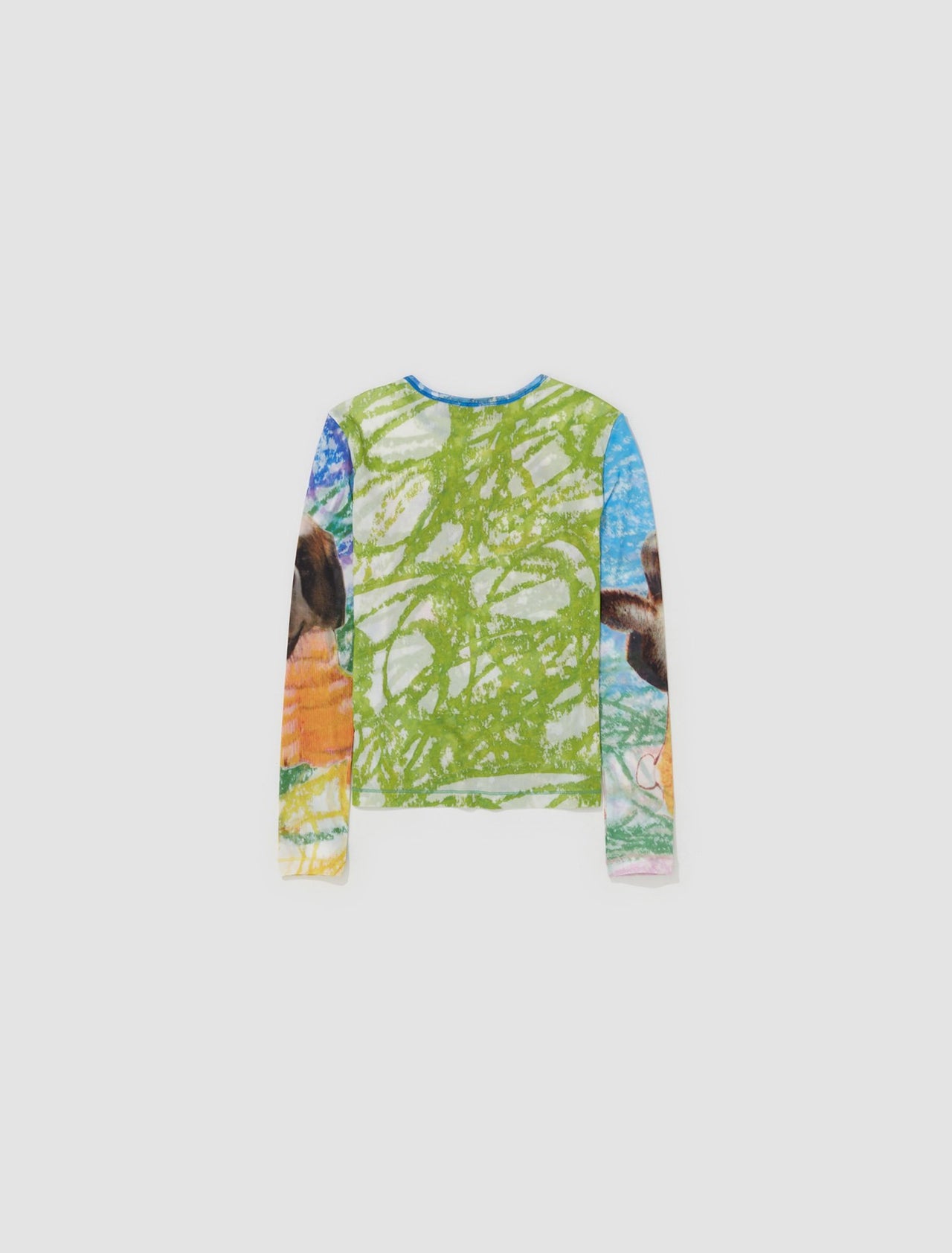 Birds Everywhere Fitted Mesh Top in Multicolor