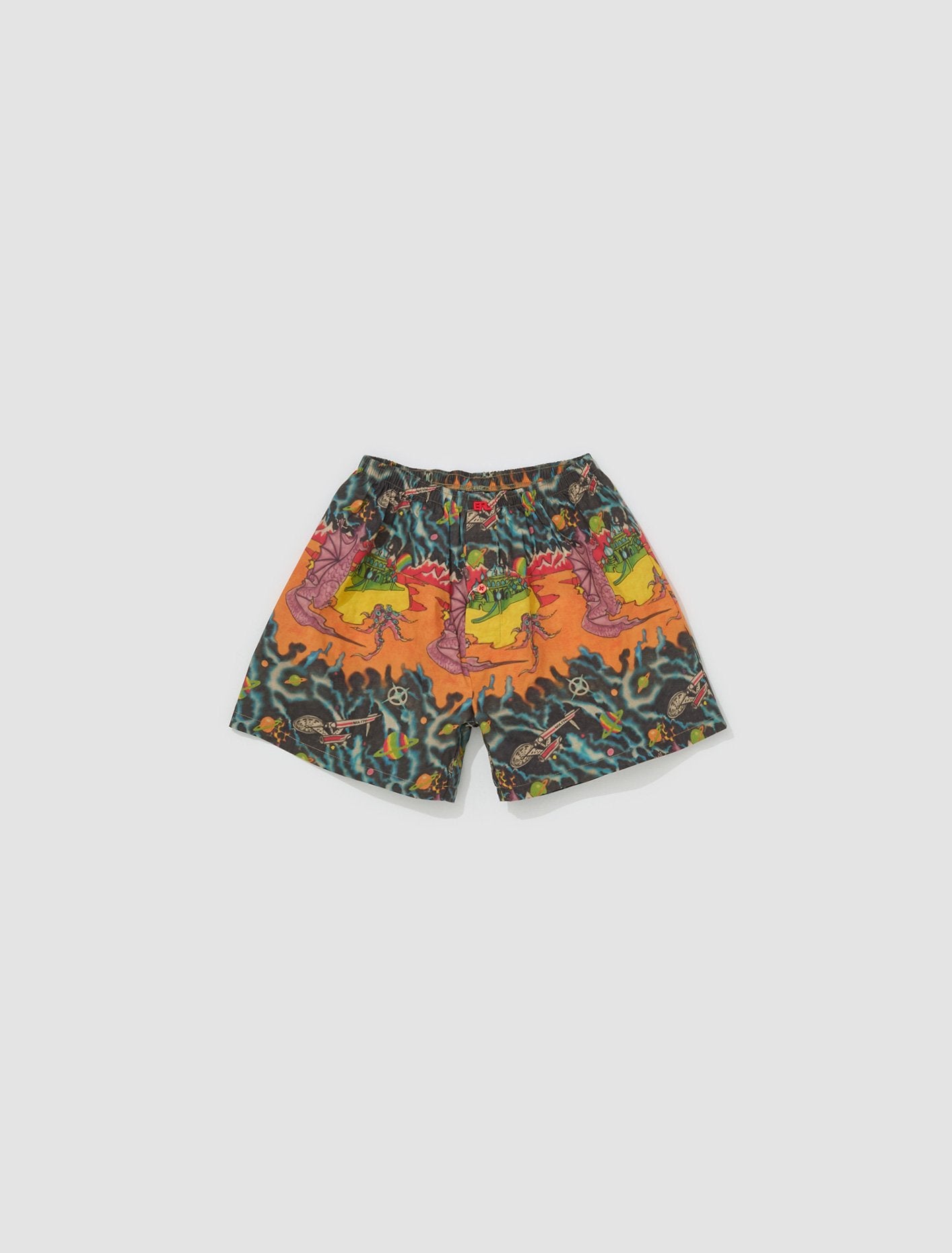 Boxers in Dragon Print