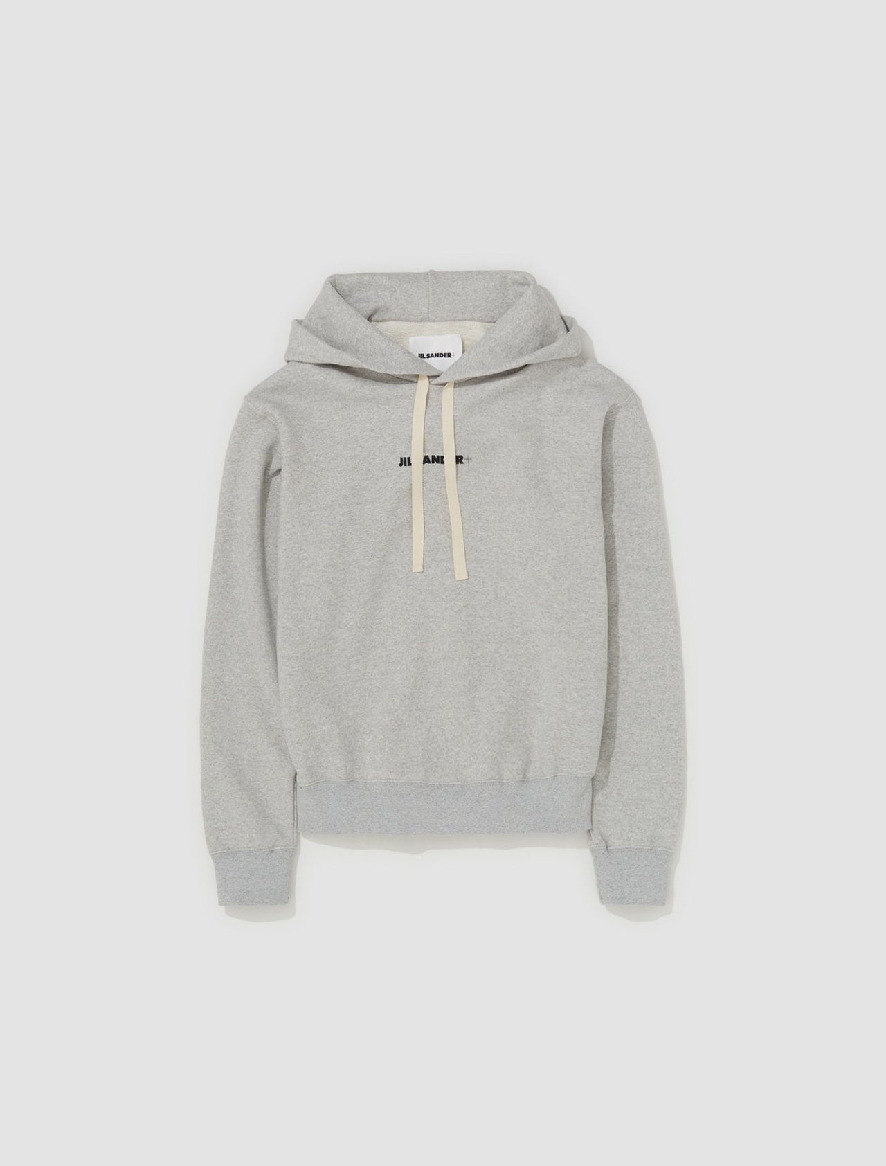 Logo Hoodie in Grey