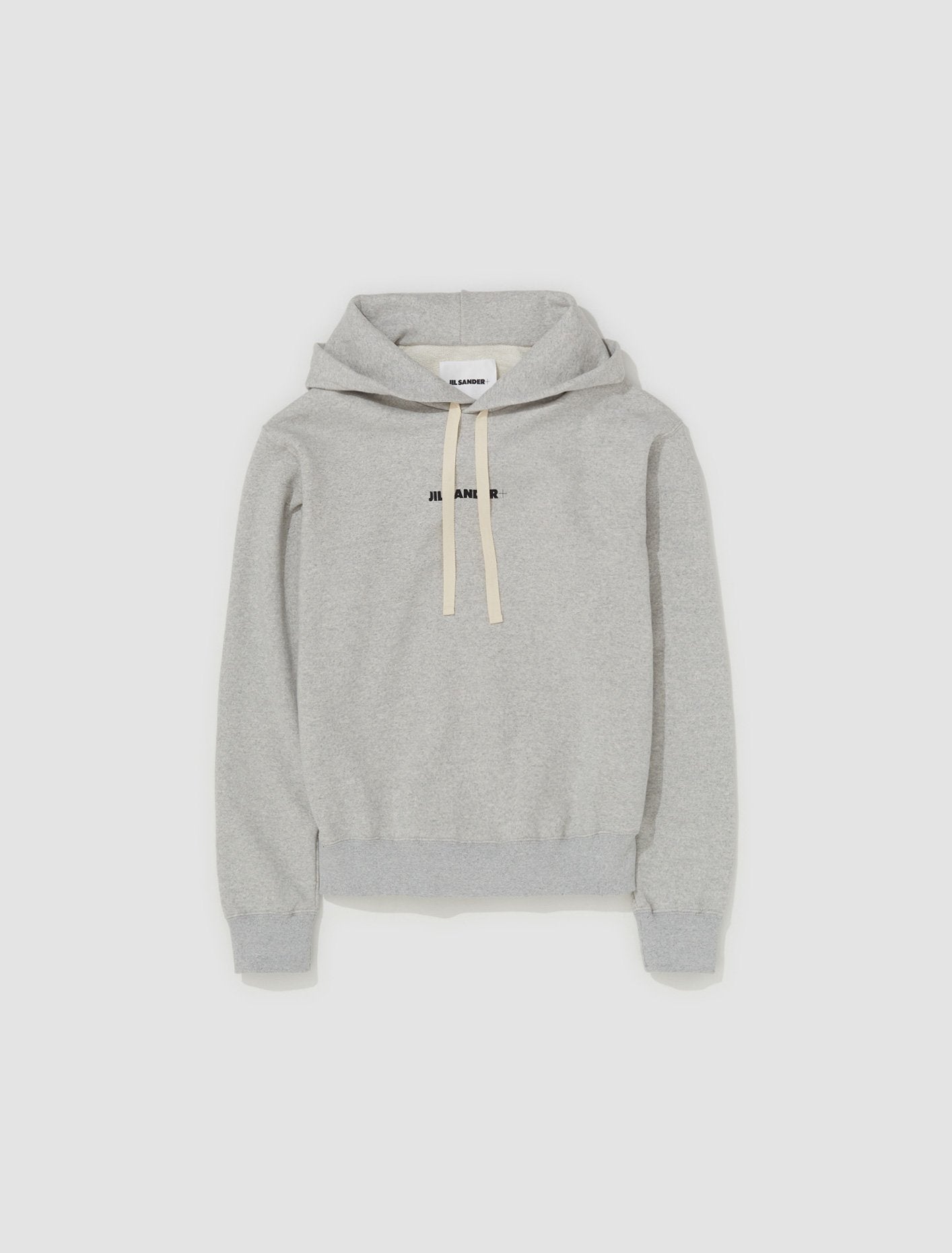 Logo Hoodie in Grey