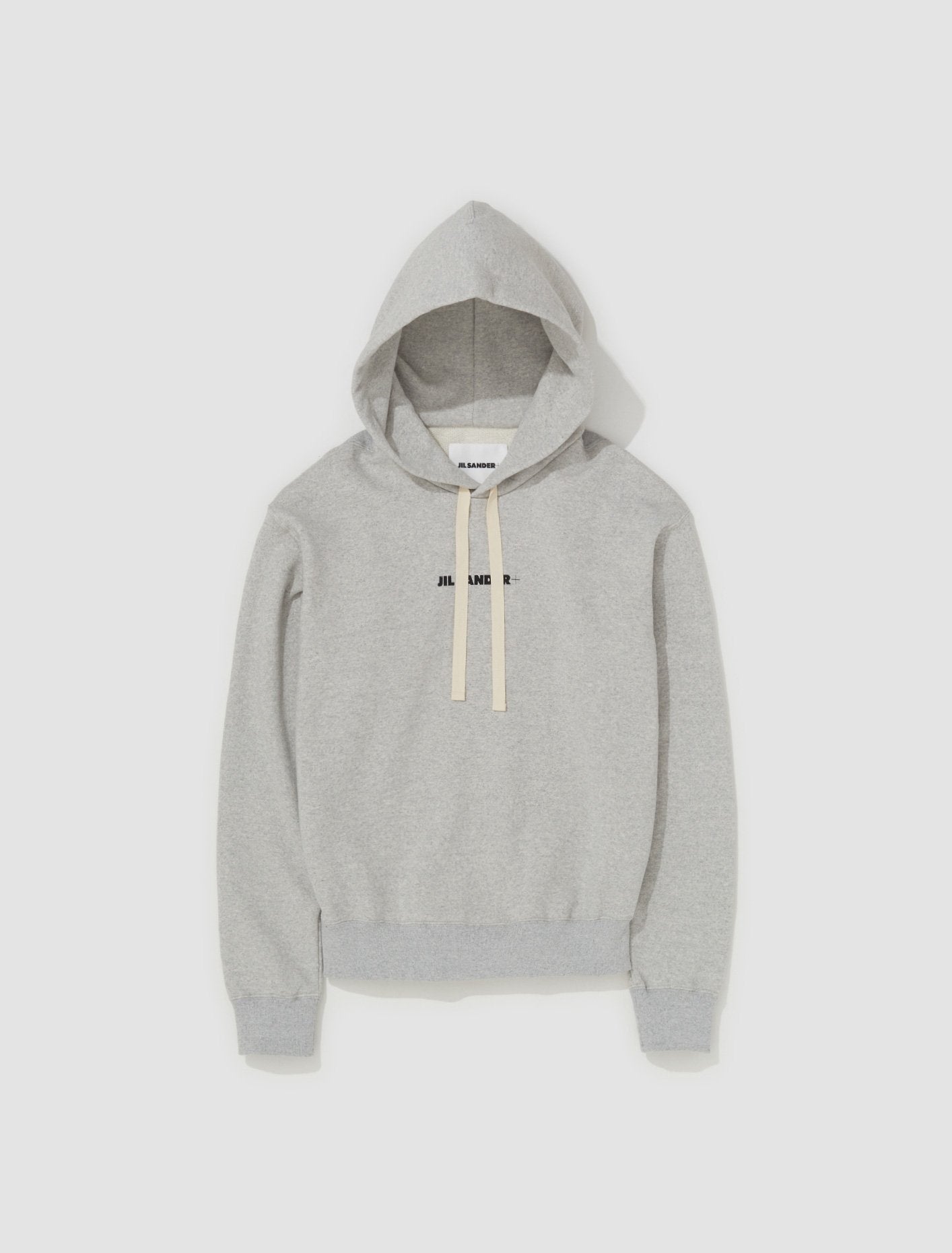 Logo Hoodie in Grey