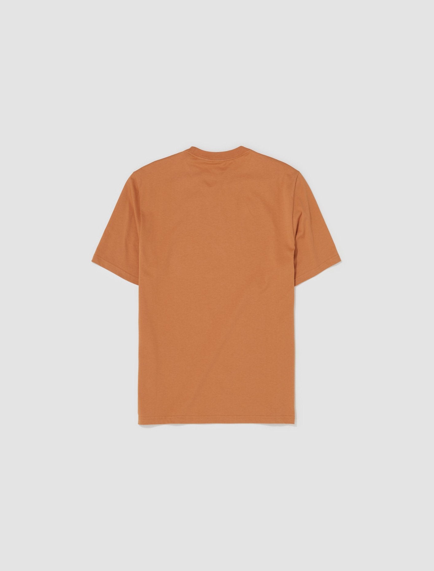 Graphic T-Shirt in Terracotta