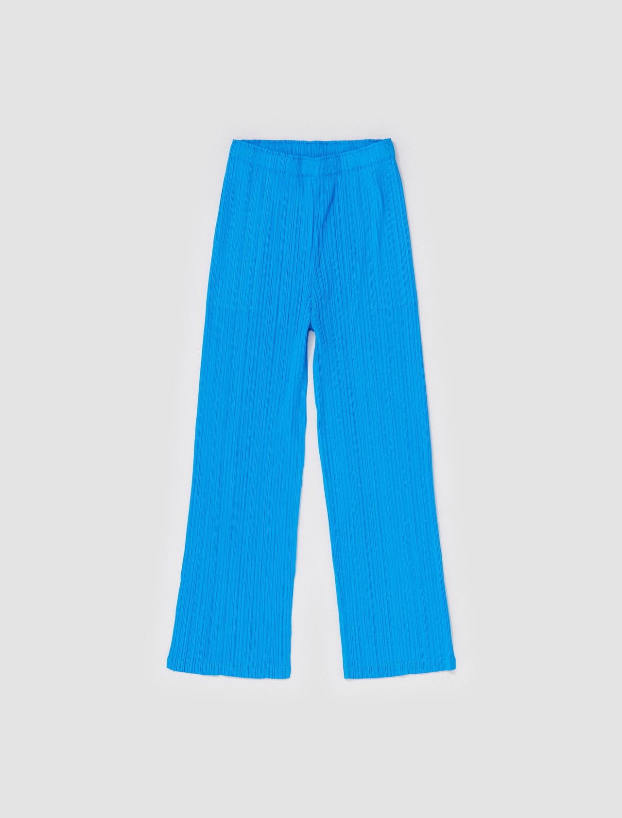 Pleated Pants in Turquoise