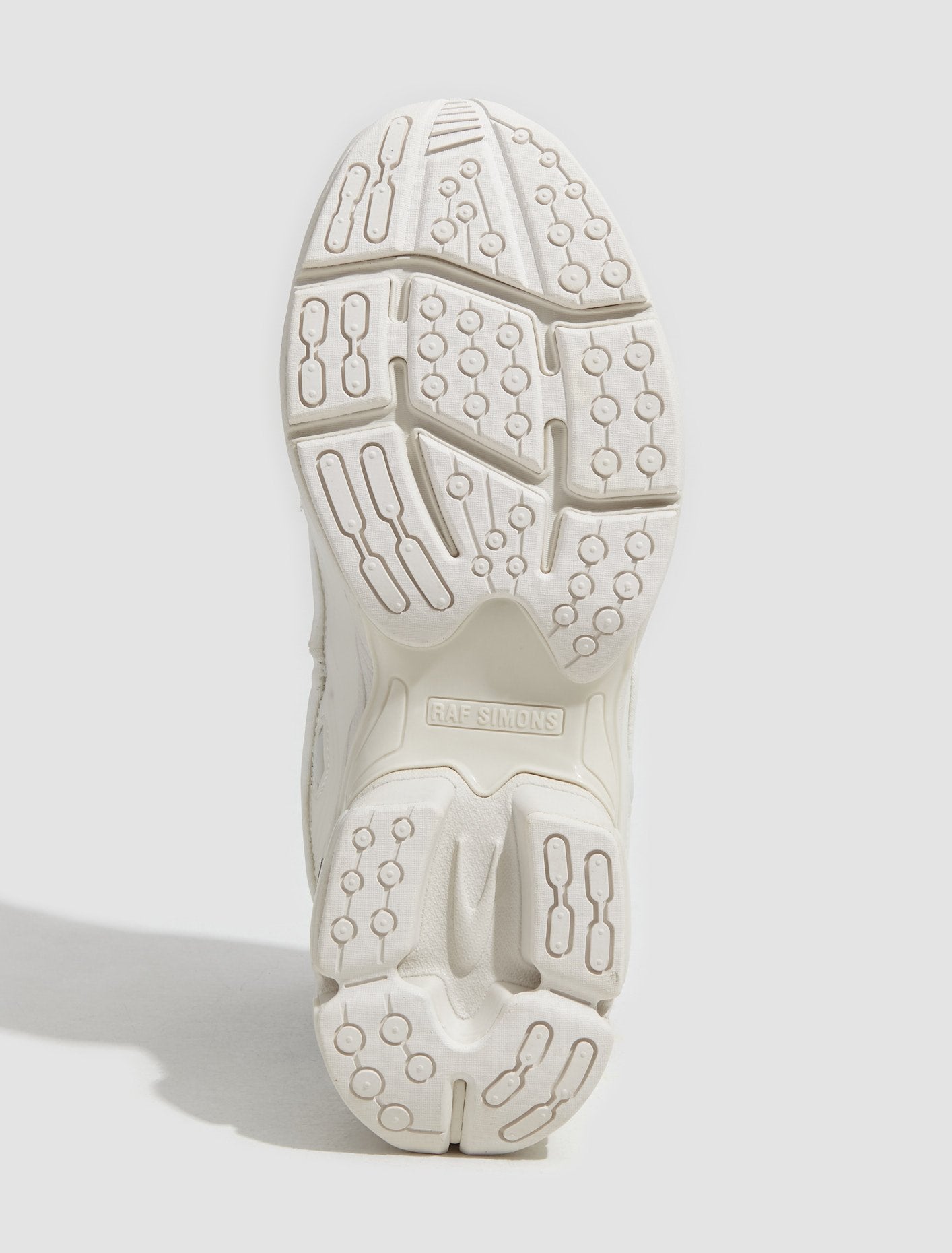 Pharaxus Sneaker in White Alyssum