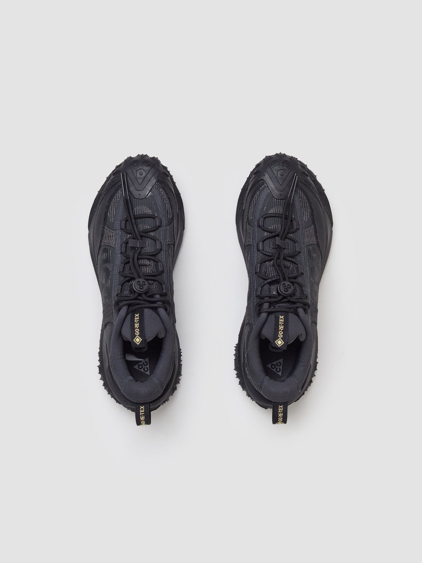 Mountain Fly 2 Low GORE-TEX Sneaker in Black